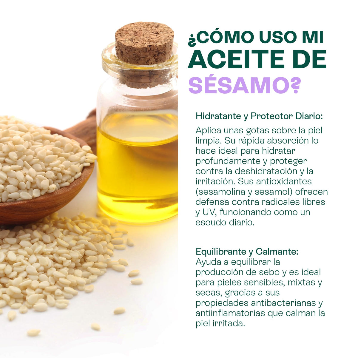 HEBBE Aceite De Ajonjolí 500 ml | Prensado En Frío 100% Puro | Hidratante Antioxidante | Elasticidad Piel | Cuidado Cabello