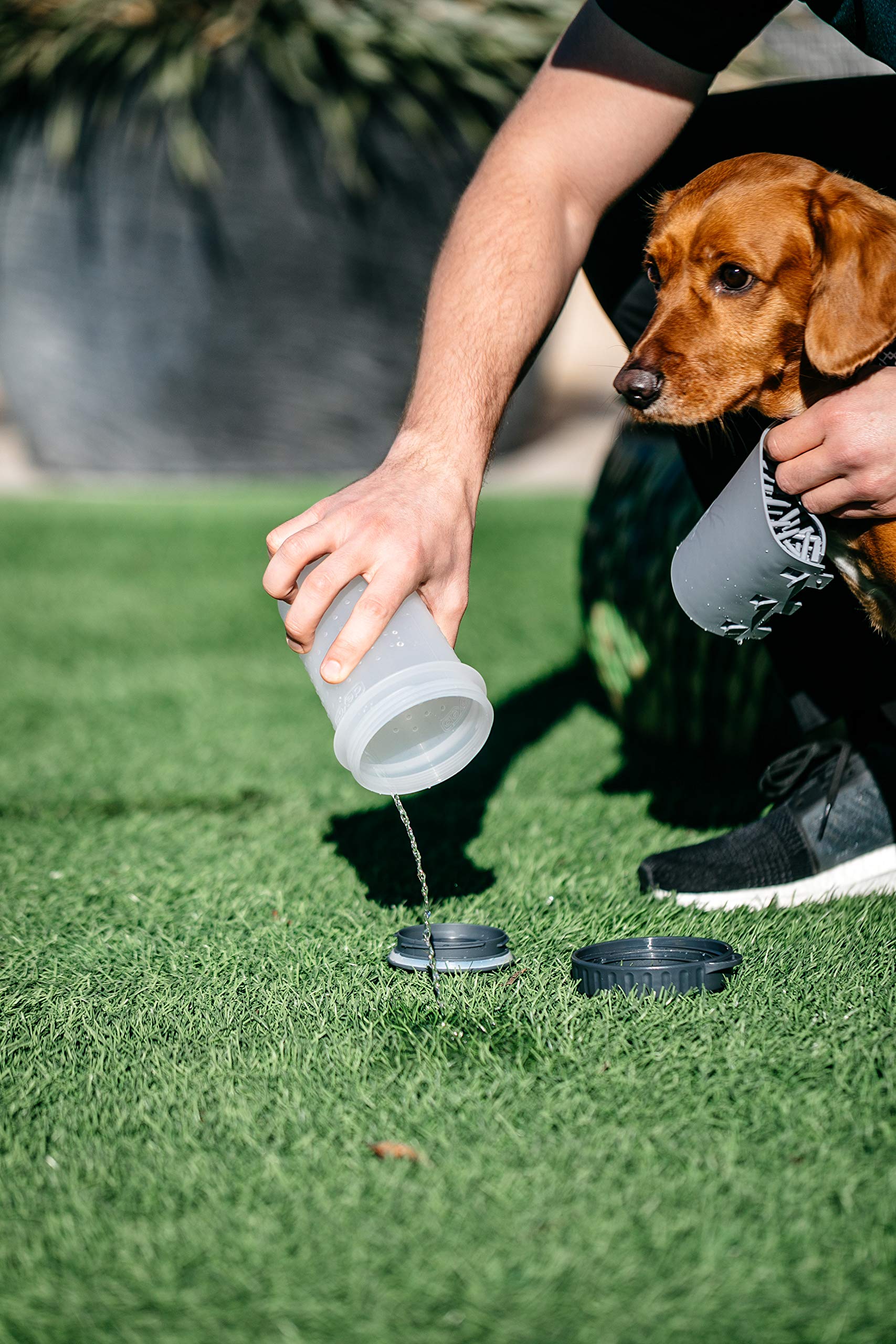Dexas Lidded MudBuster Limpiador portátil para patas de perro, gris claro, mediano con tapa