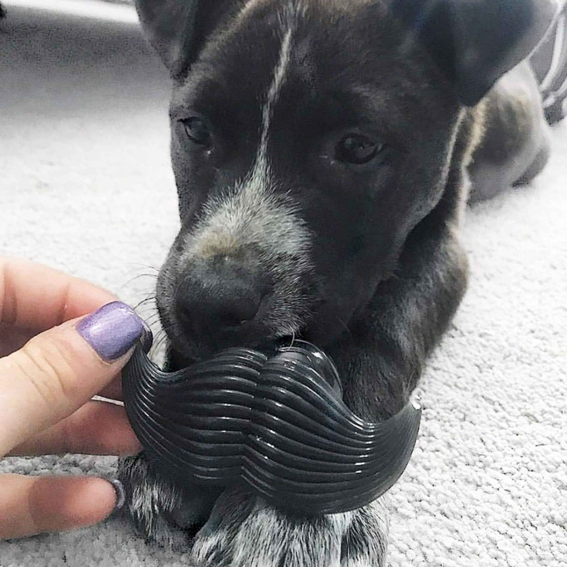 FOUFIT Paci-Chew Dog Chew Toy, 3.2" x 2.2", Mustache