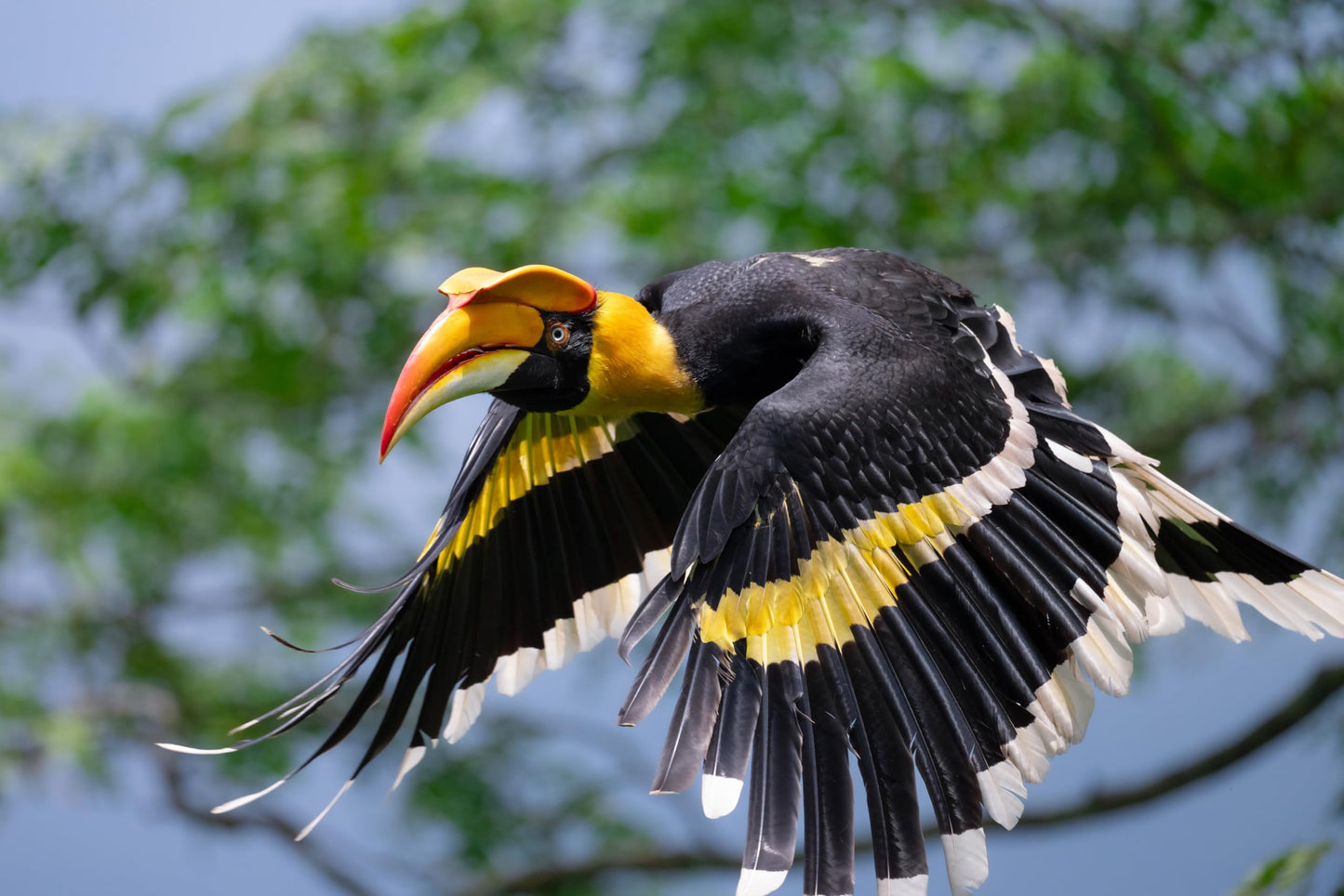 Lente Nikon Z 600mm f/6.3 VR S