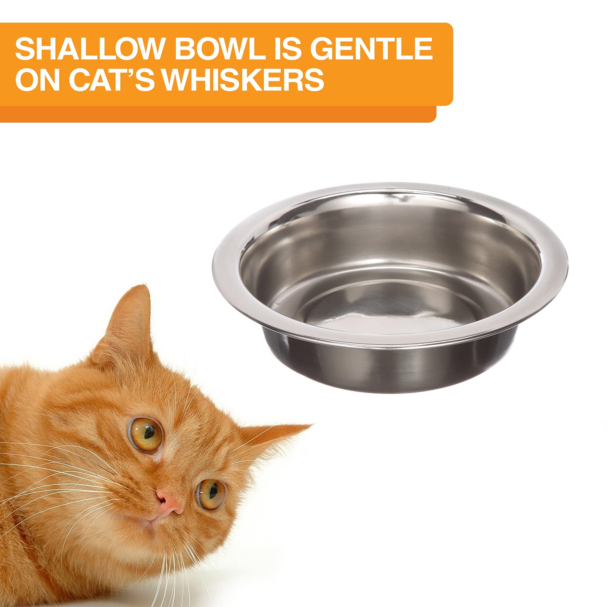 Comedero Neater Feeder Plomizo con Cuencos de Acero Inoxidable y Antideslizantes para Gato