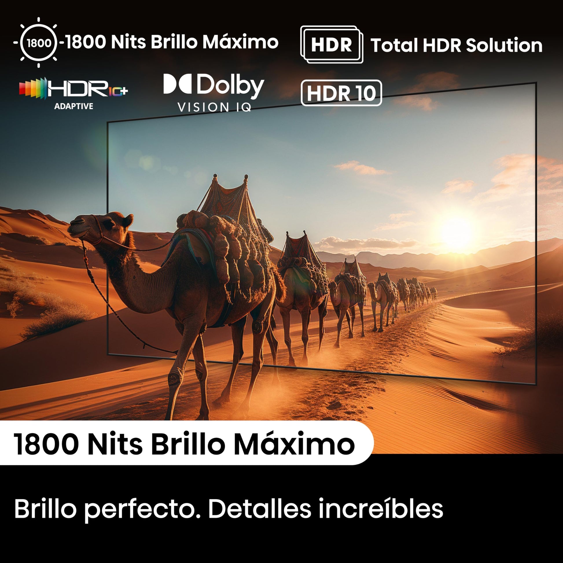 Hisense Television U8N Pantalla 55 Pulgadas,Mini-LED Smart Google TV UHD 4K,Control Remoto por Voz con Alexa,Modo de Juego Pro de 144 Hz,Hi-View Engine Pro, mira TV en Vivo sin Cable