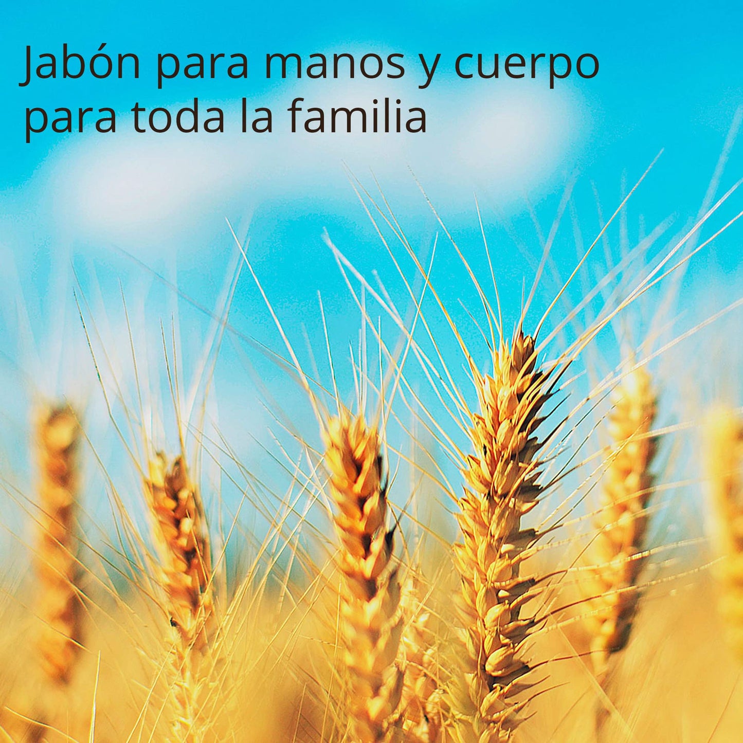 HAND SOAP 10 Lts | Jabón Líquido de Manos Biodegradable sin Parabenos Fosfatos y Colorantes | Jabón Grado Cosmético con Emolientes y humectantes con Aceite Esencial de Germen de Trigo