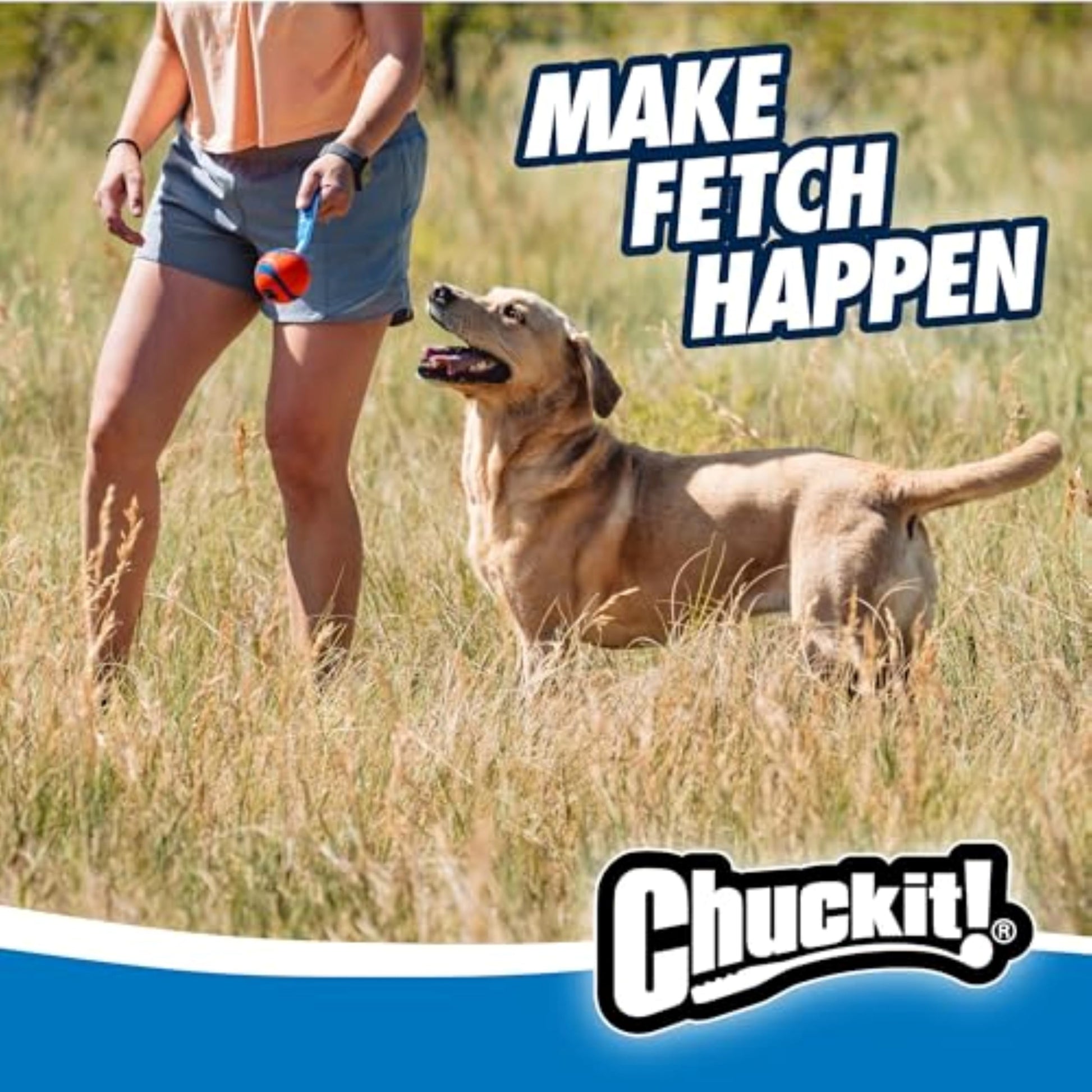 Chuck It Do831301 Pelota Ultra Tug, Grande, Colores Surtidos