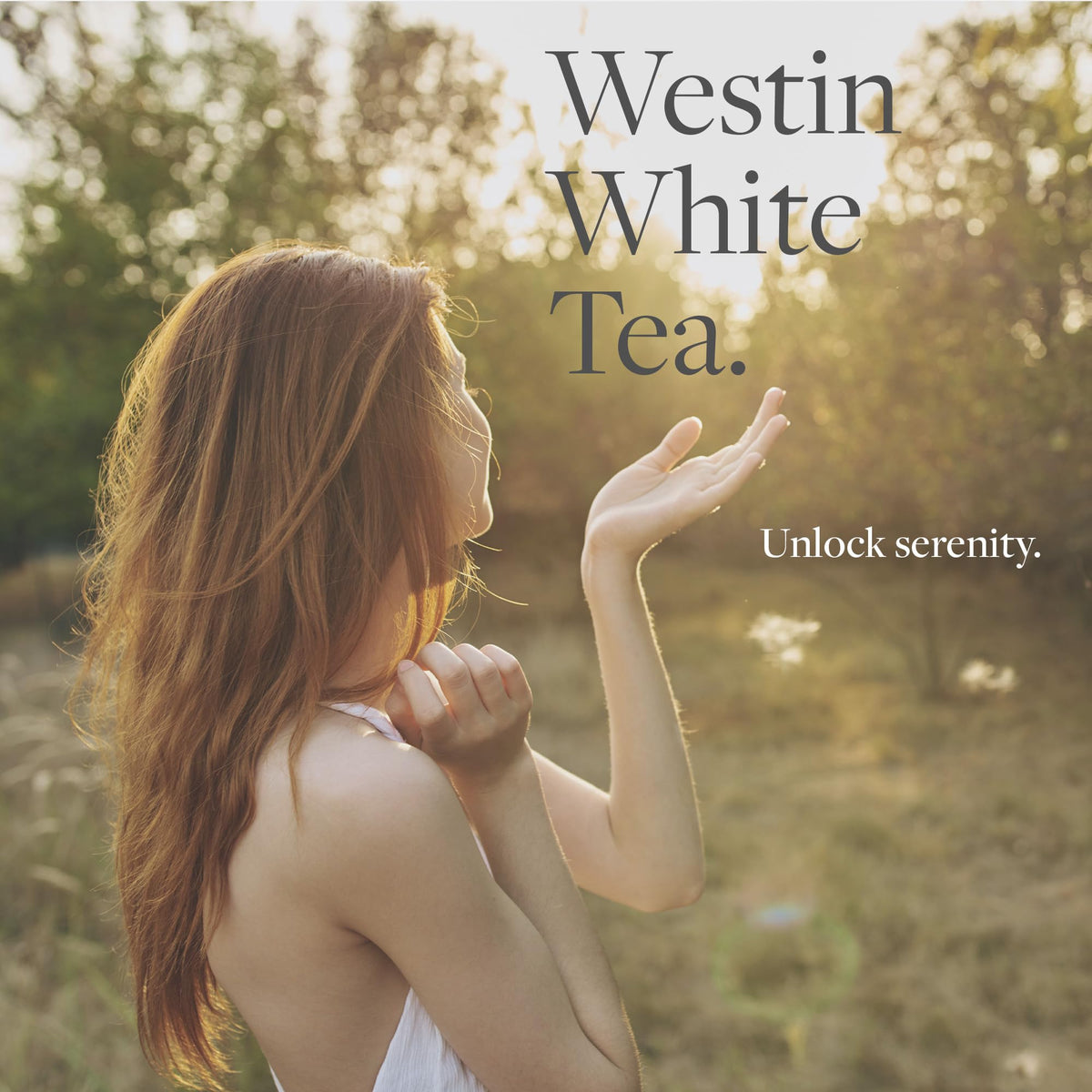Westin Hotel & Resorts Westin Jabón líquido de manos de té blanco – fragancia de té blanco combinada con aloe – Dispensador de bomba – 8 onzas