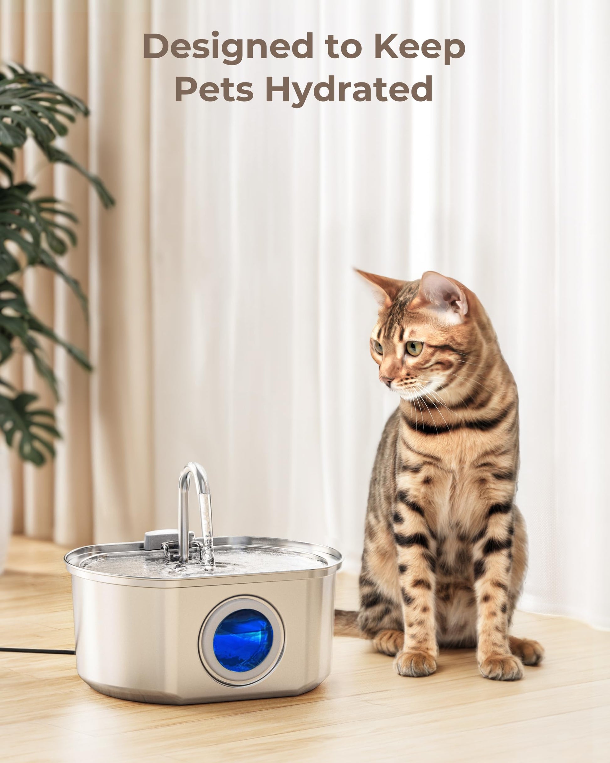 Filtros de Repuesto Neareal Grises para Fuente de Agua de Gatos y Esponjas Prefiltrantes para Fuente de Acero Inoxidable para Mascotas