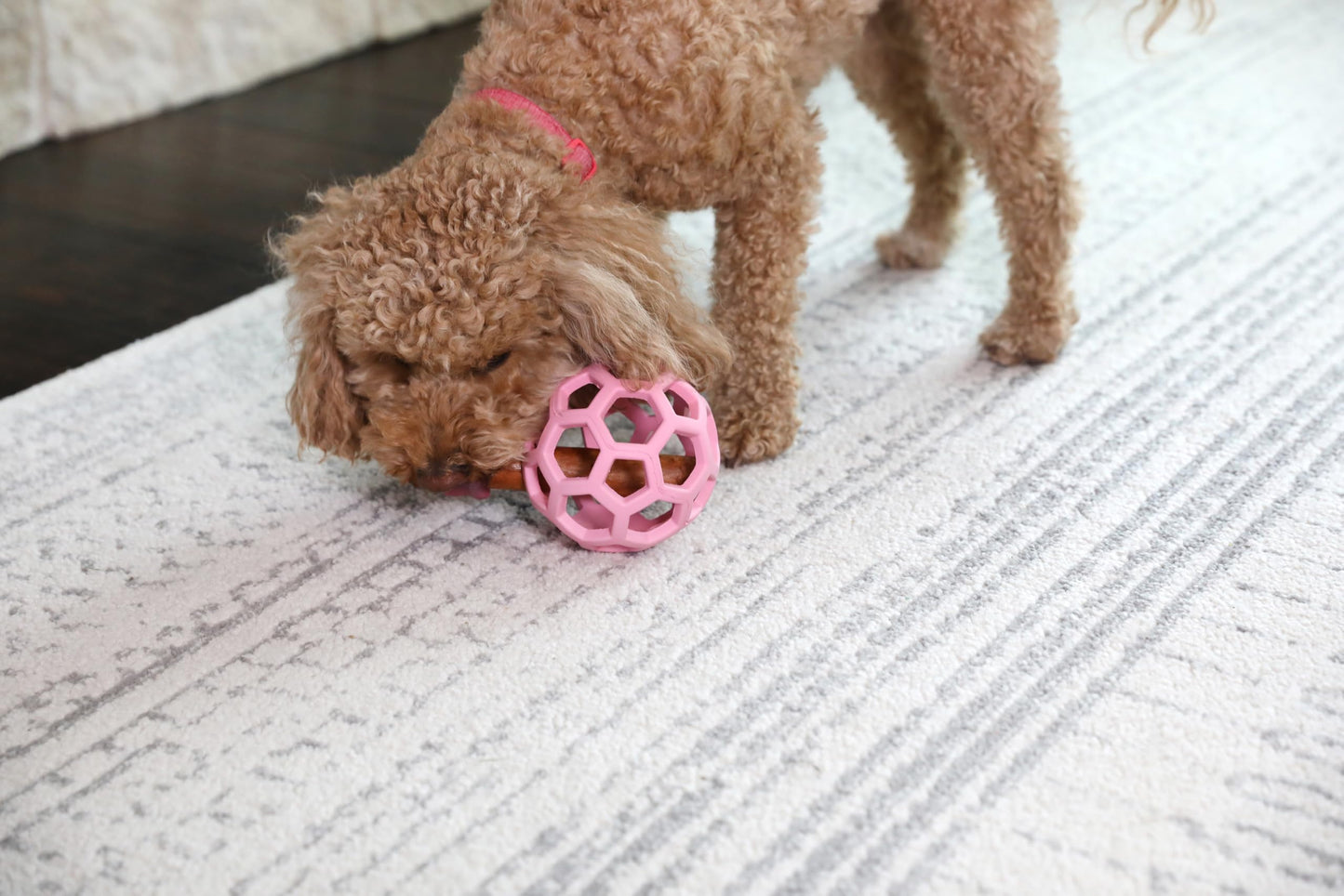 Juguete de Rompecabezas JW Pet Hule Natural Rosa Mediano para Perro