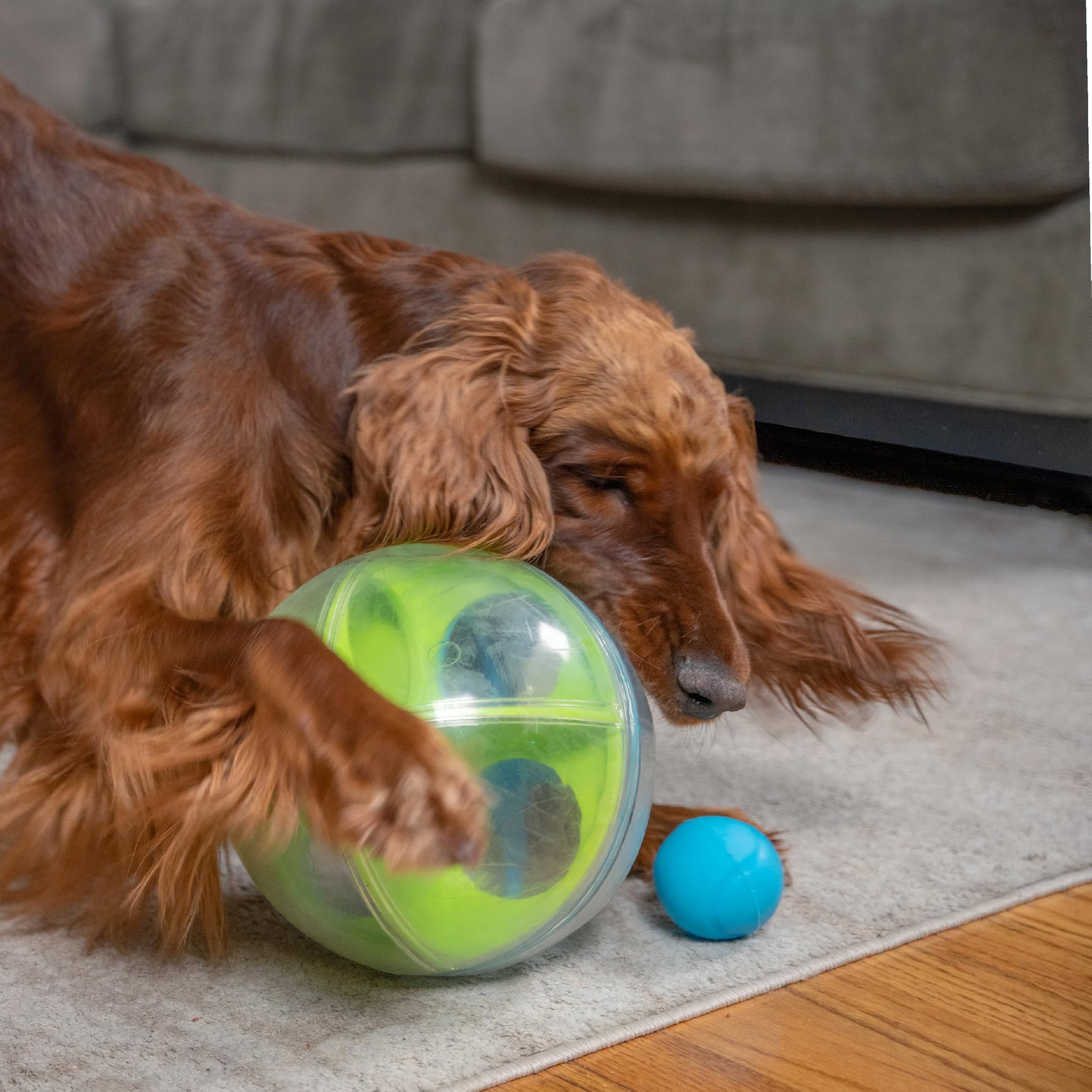 Rompecabezas Interactivo Outward Hound Nina Ottosson A-Maze Ball Laberinto para Perros