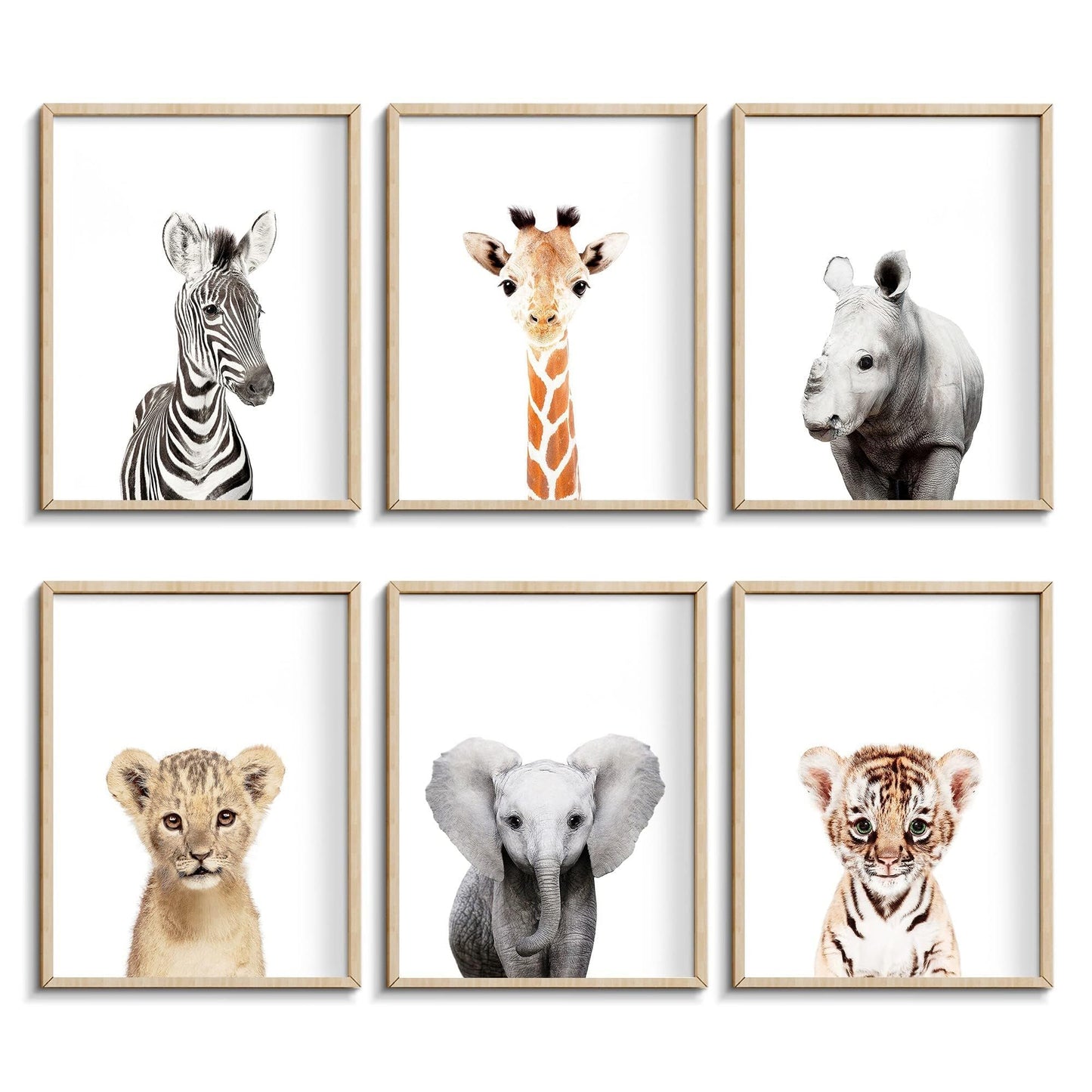 Calmart Jungle Safari Animal Prints, arte de pared, paquete de 6, sin marco, moderno, contemporáneo, tema animal, impermeable, orientación paisajística, acabado brillante, decoración de habitación de