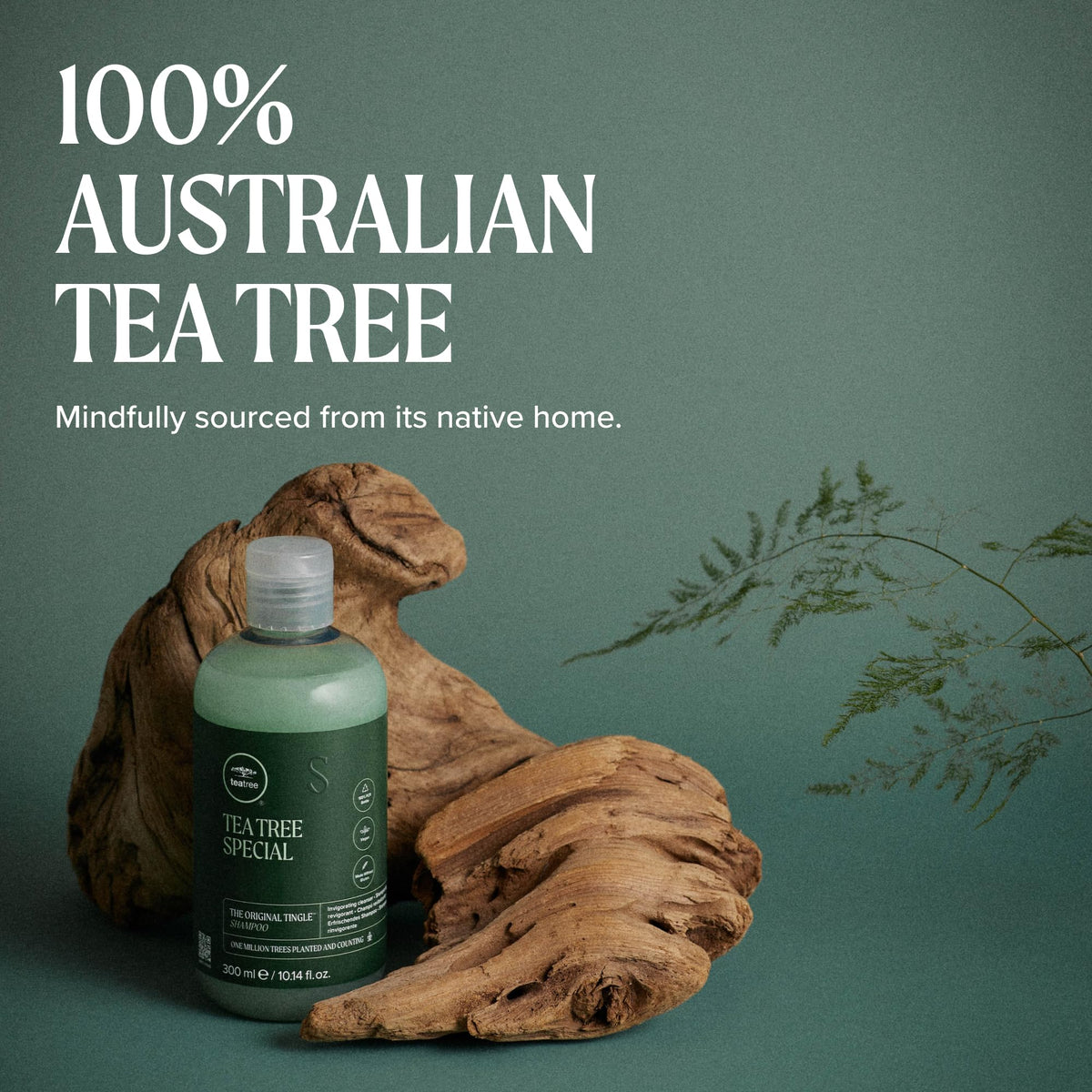 Tea Tree Special Champú, Limpieza Profunda, Refresca el Cuero Cabelludo, Para Todo Tipo de Cabello, Especialmente Cabello Graso, 300 ml
