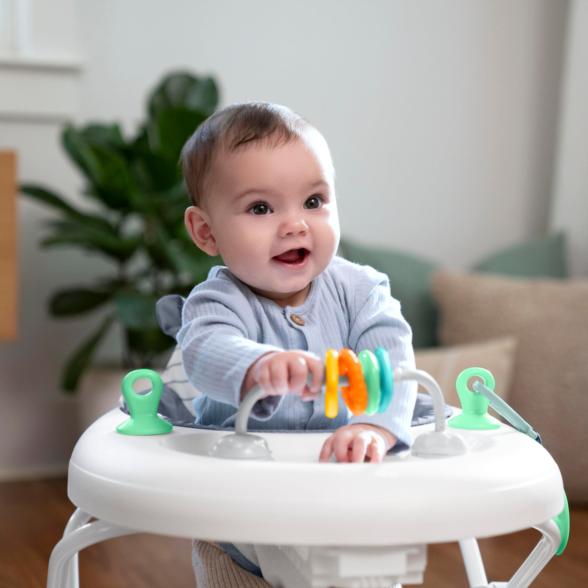 Ingenuity Smooth Strides - Cambray - Caminador de desarrollo - Barra de altura de 3 posiciones - Juguetes incluidos - 6M-12M