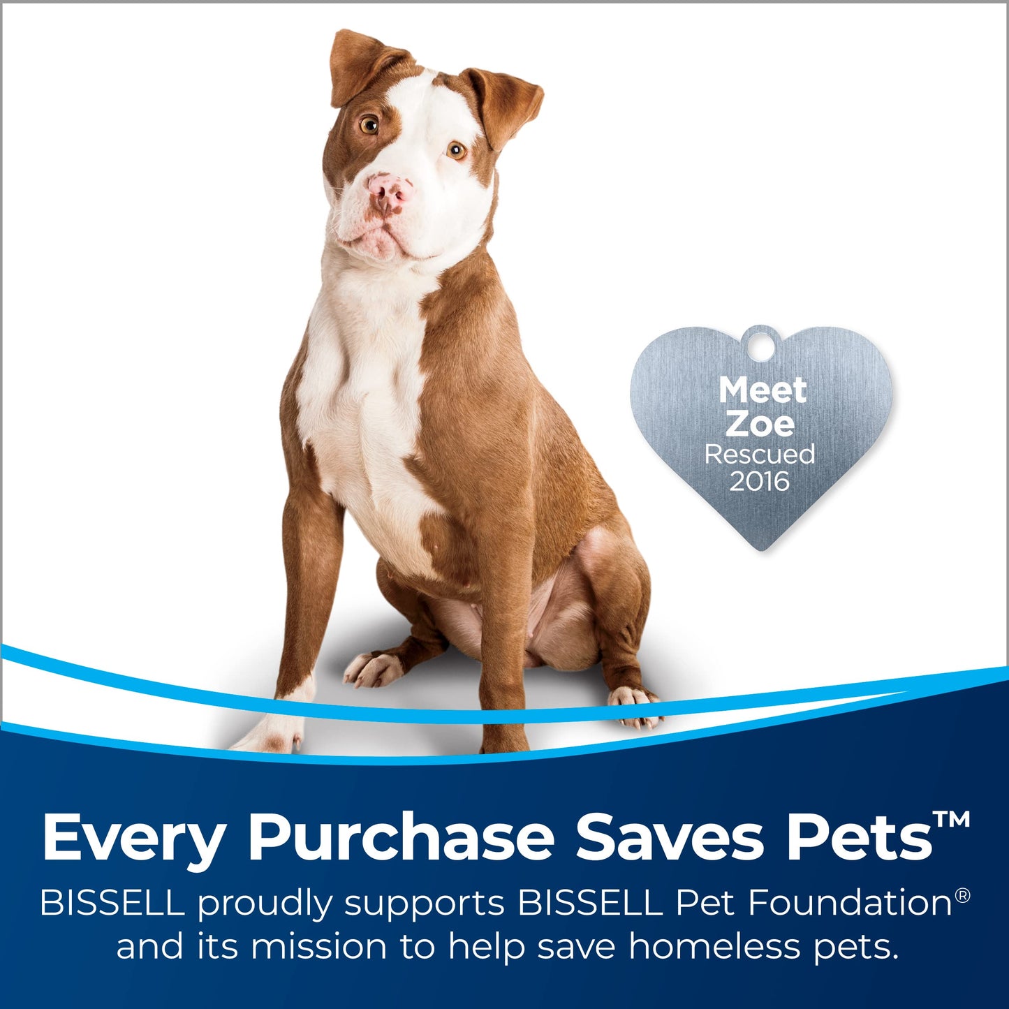 Bissell Cleanview - Aspirador Giratorio para Mascotas, Aspiradora Solamente, Green Pet, 1