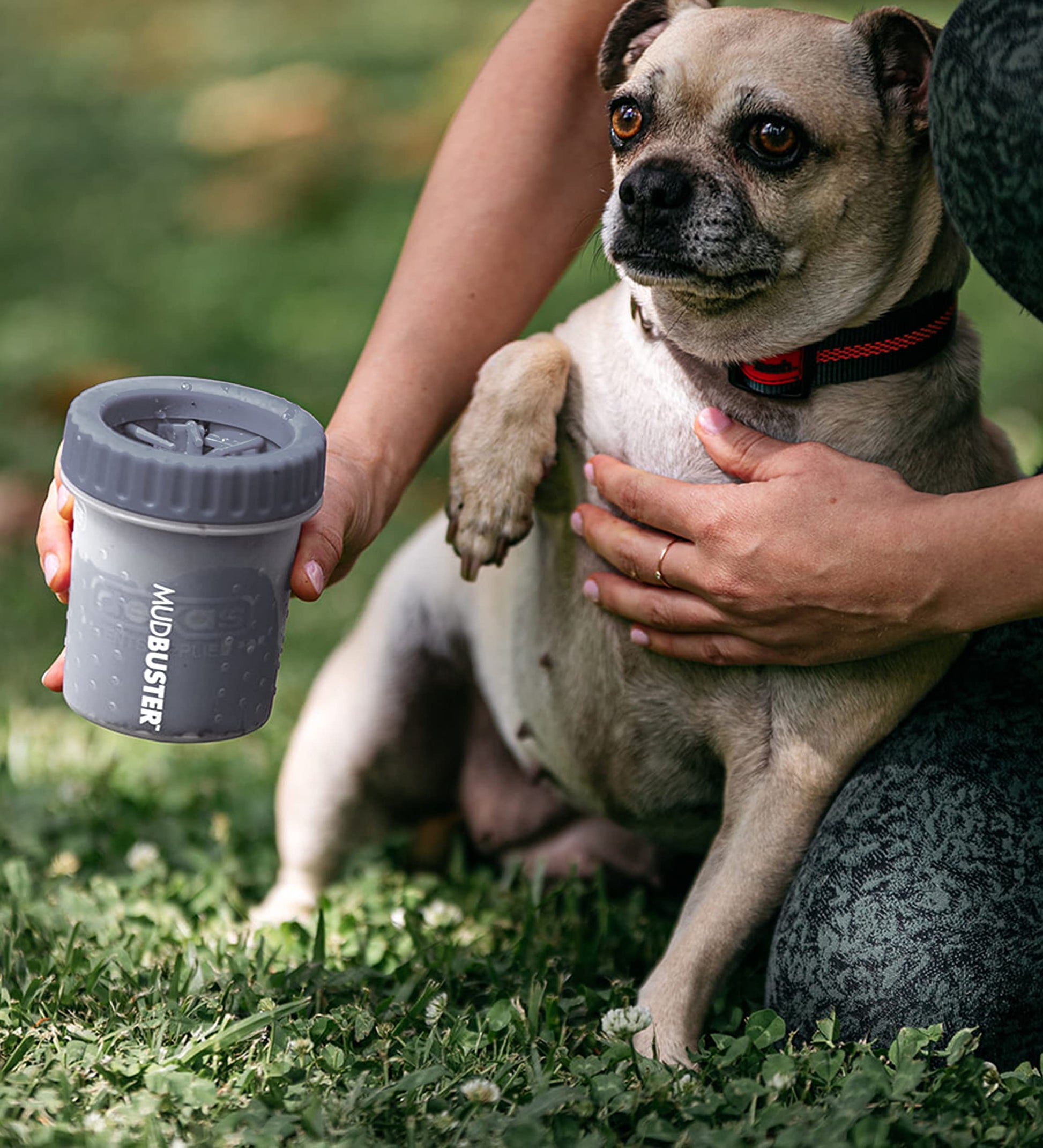 Dexas MudBuster - Limpiador portátil para patas de perro, de calidad premium, pequeño accesorio para mascotas de color gris claro