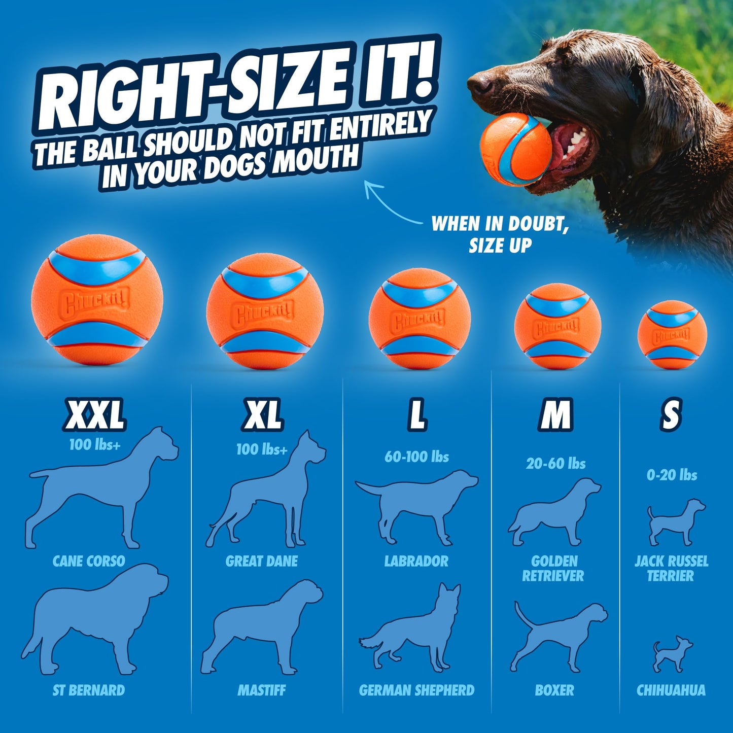 Chuckit! - jueguete mascota Ultra Ball, anaranjado, mediana, 2.5 pulgadas, paquete de 1
