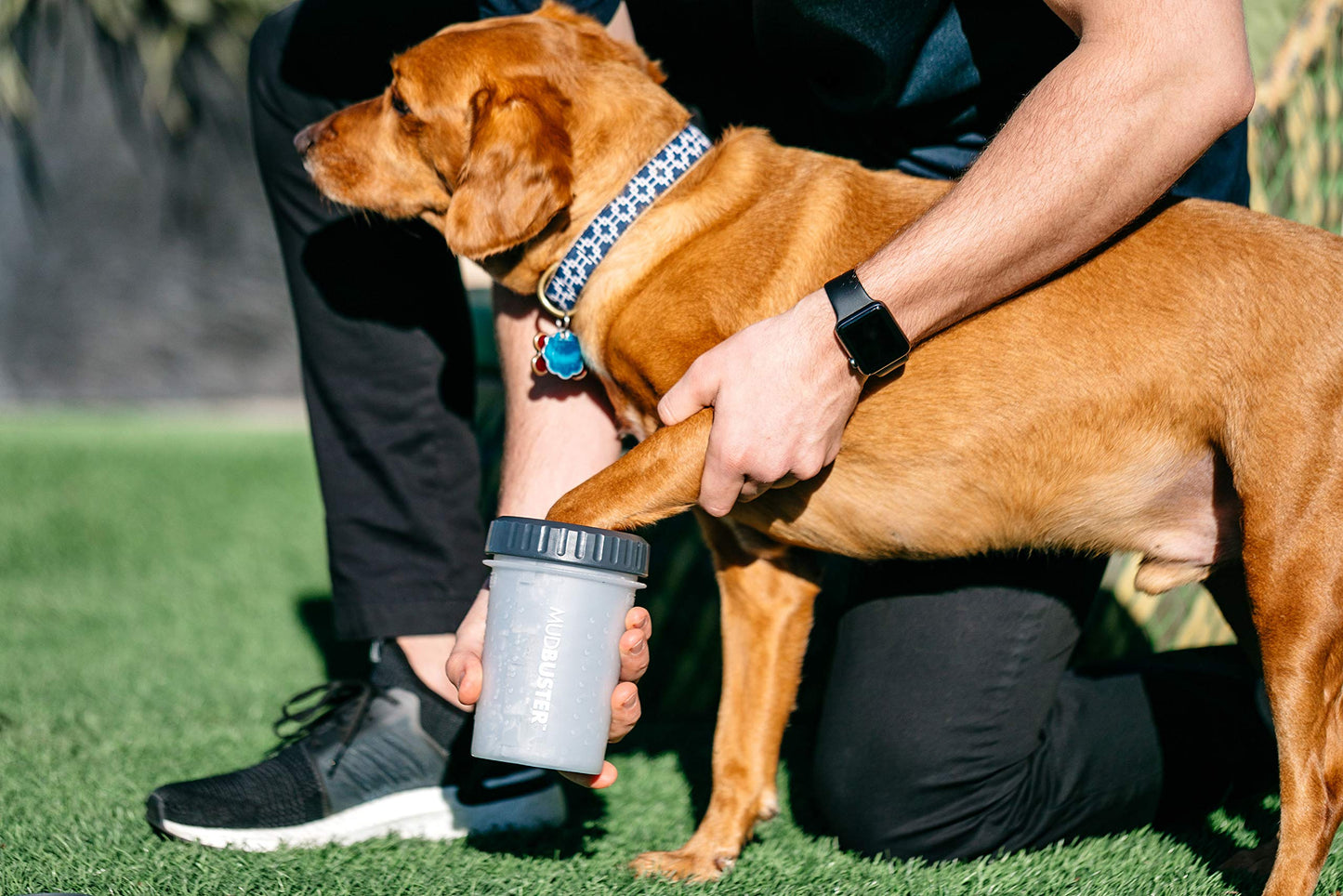 Dexas Lidded MudBuster Limpiador portátil para patas de perro, gris claro, mediano con tapa