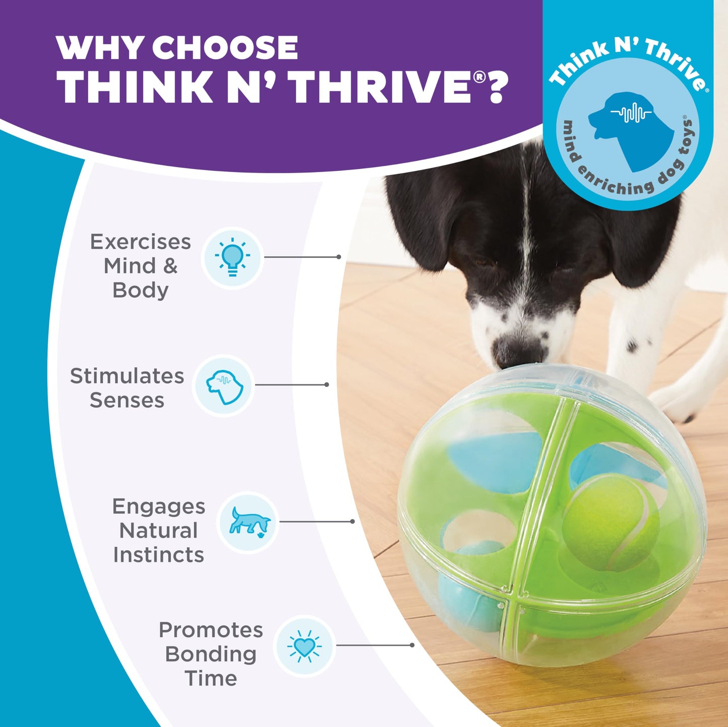 Rompecabezas Interactivo Outward Hound Nina Ottosson A-Maze Ball Laberinto para Perros