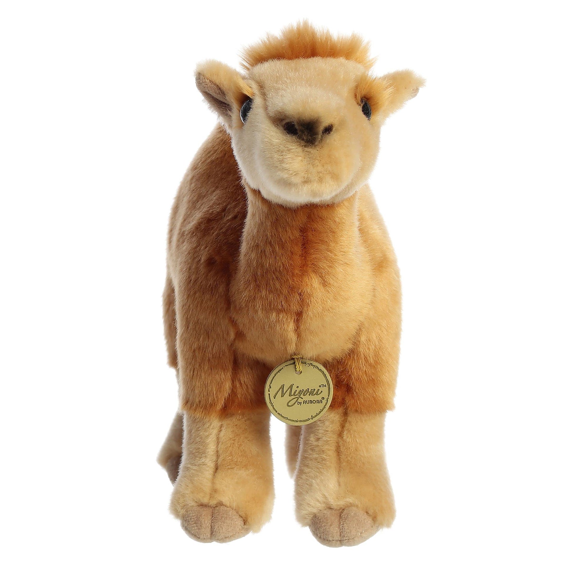 Aurora Miyoni Dromedary Camel 11 Pulgadas Peluche