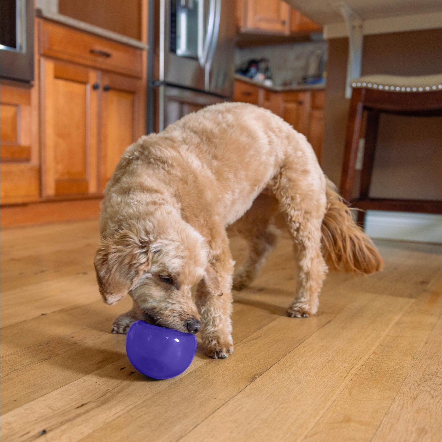 Juguete Interactivo Planet Dog Orbee-Tuff Lil' Snoop Morado dispensador de golosinas para Perro Pequeño