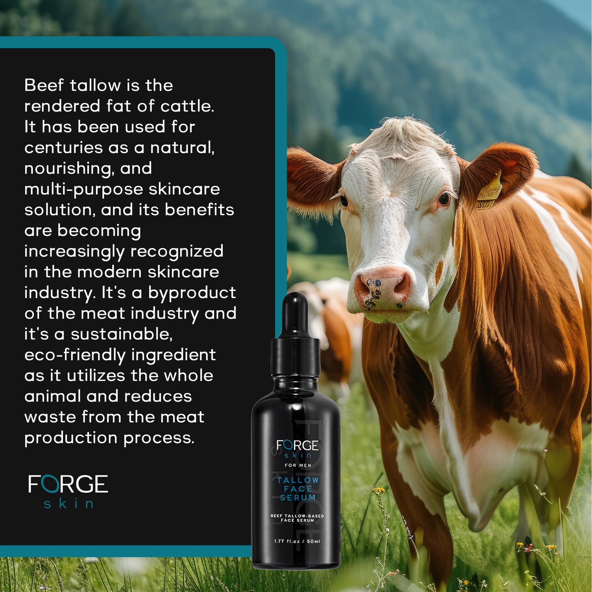 Suero de noche antiarrugas Forge Men 50 ml Ingredientes esenciales: sebo de res, vitamina C, antienvejecimiento, hidratación profunda, refuerzo de colágeno, reducción de líneas finas para todo tipo