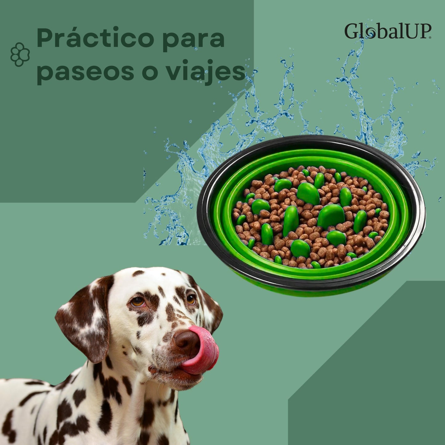 GlobalUP Plato para Perro, Bebedero para Perro. Contenedor para croquetas Plegable. Tazon para alimento y Agua para Mascotas retractil Gato y Perro, fácil de Limpiar. (Verde, L/XL)