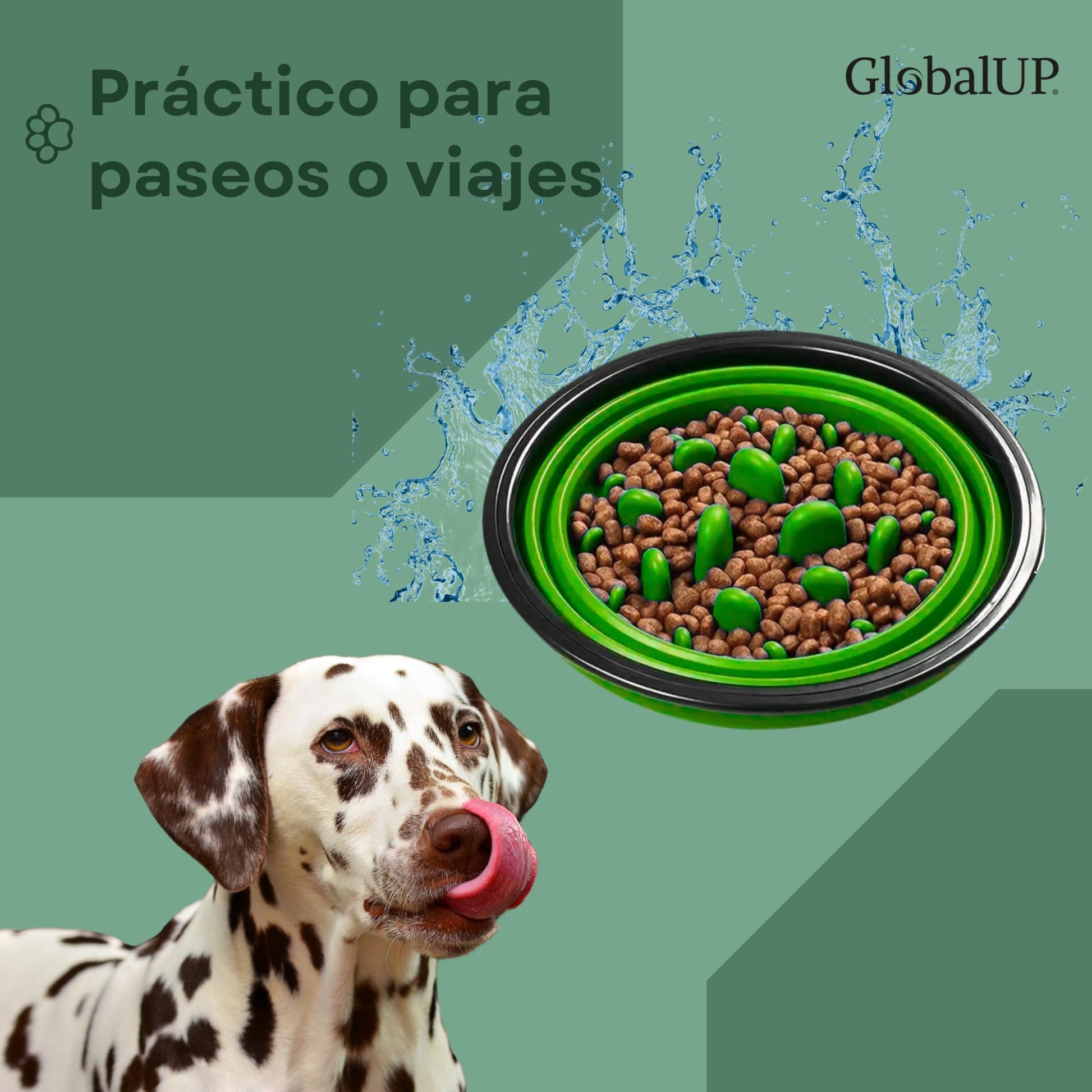 GlobalUP Plato para Perro, Bebedero para Perro. Contenedor para croquetas Plegable. Tazon para alimento y Agua para Mascotas retractil Gato y Perro, fácil de Limpiar. (Verde, L/XL)