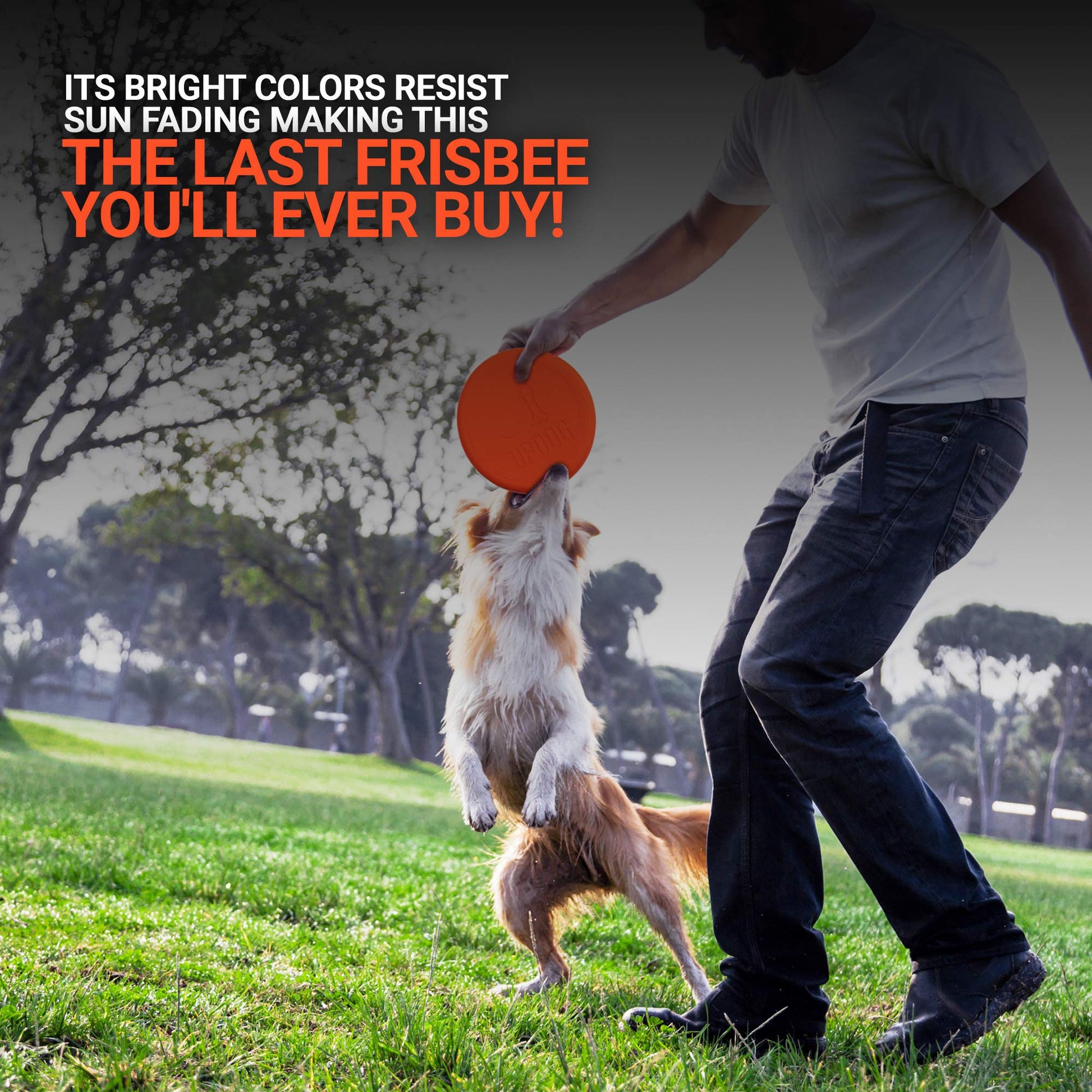 Frisbee para Perro, Fabricado en EE. UU. Productos Updog Pequeño Disco Volador de 15,24 cm para Perros, Anaranjado, 6