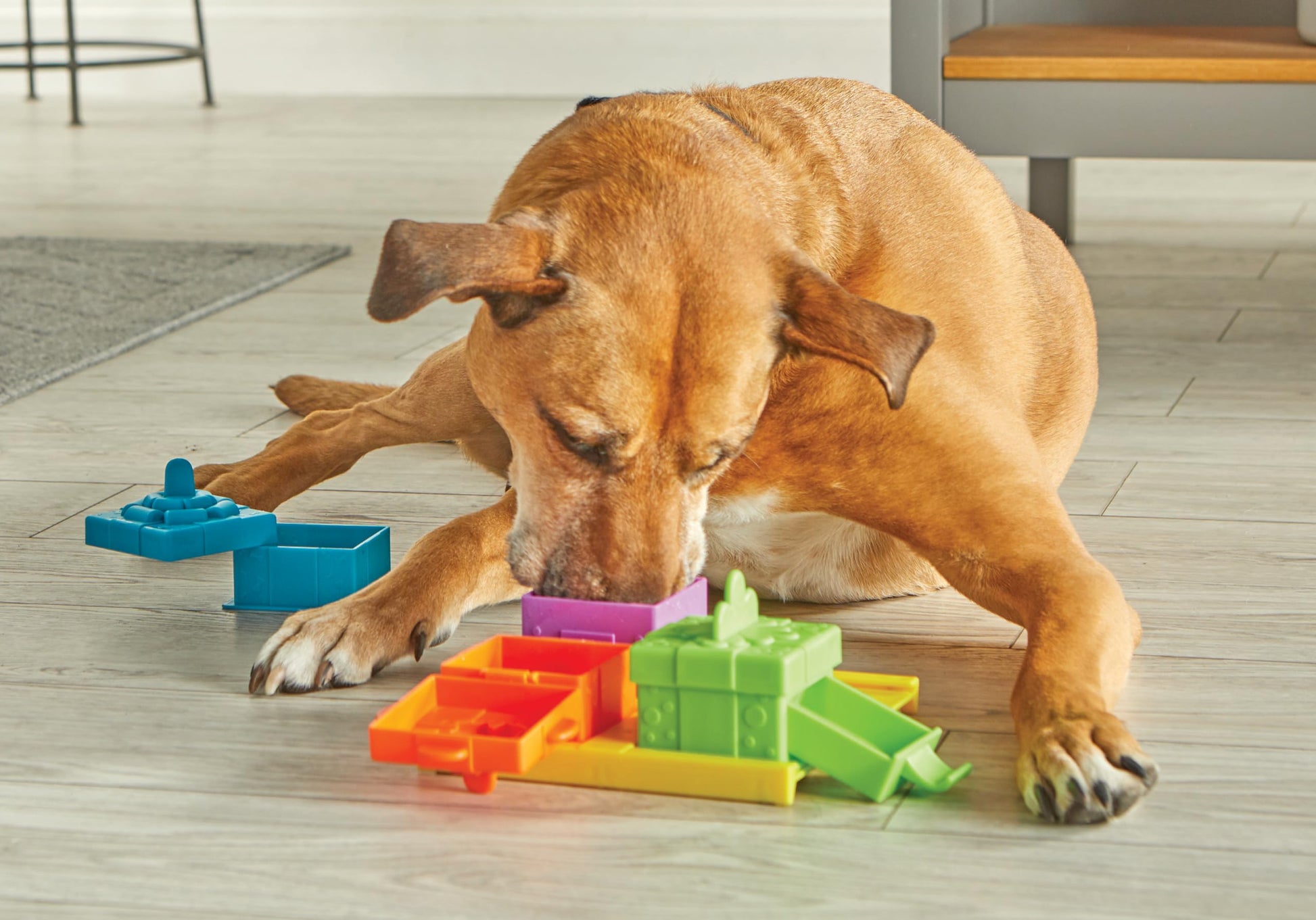 BRIGHTKINS Fiesta Sorpresa Rompecabezas de Tratamiento para Perro