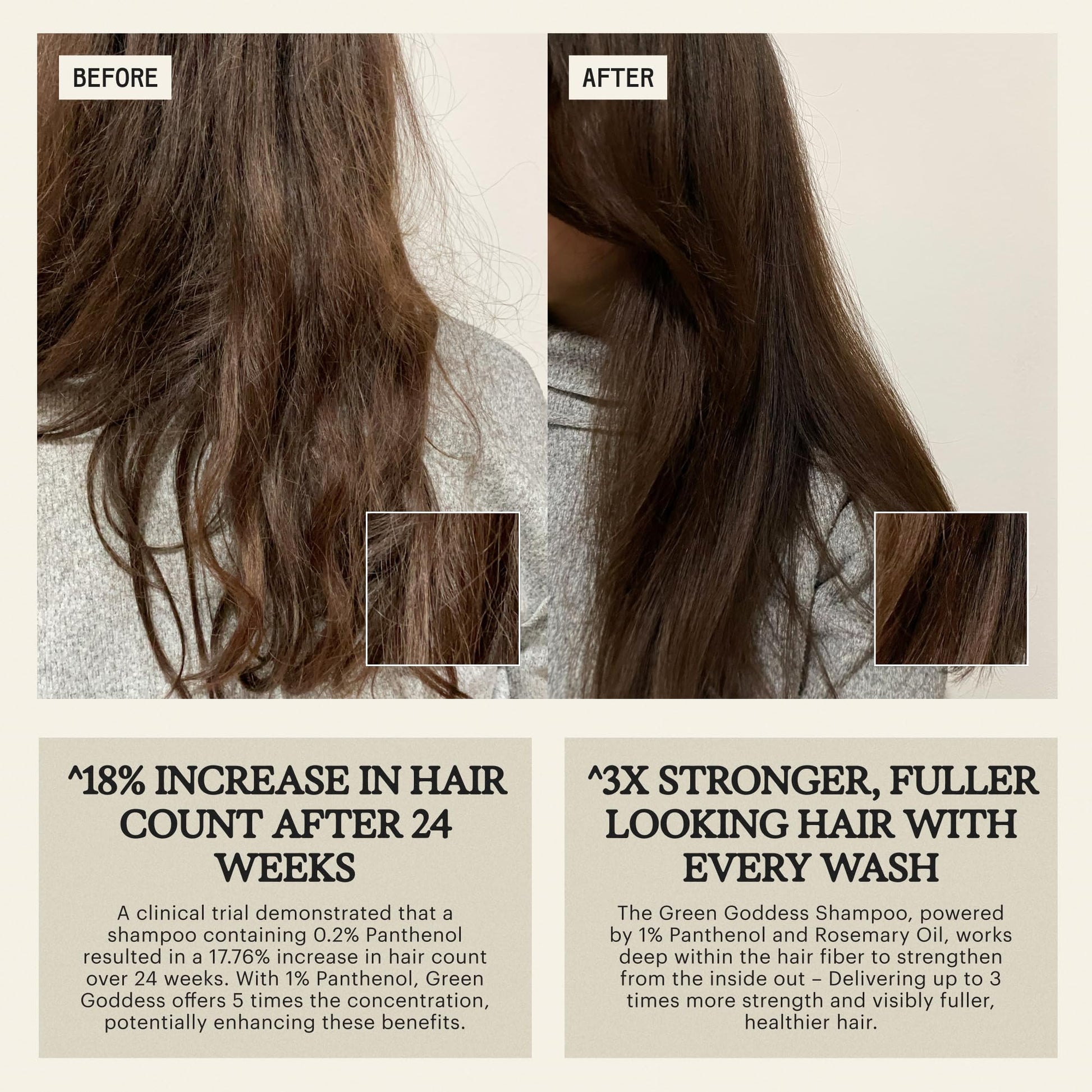 Shampoo Remilia Hair Natural Aceite de Romero para Cabello Dañado y Seco