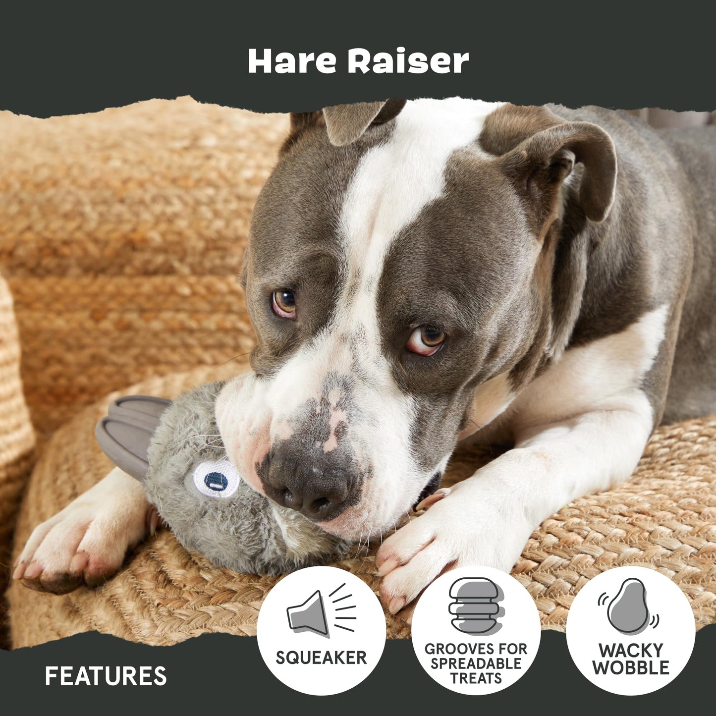 BARK Super Chewer Collection - Juguete para perro de conejo de goma