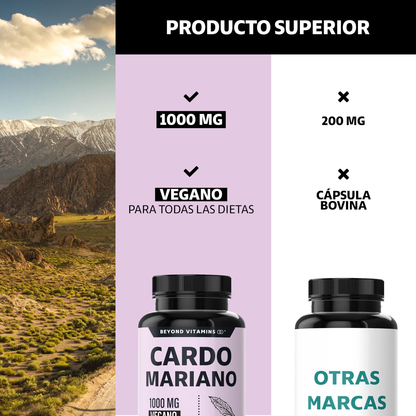 Beyond Vitamins | Cardo Mariano (extracto de Silimarina 100% natural y vegano | Milk Thystle | Fórmula Premium potenciada con Raíz de Cúrcuma | 60 cápsulas