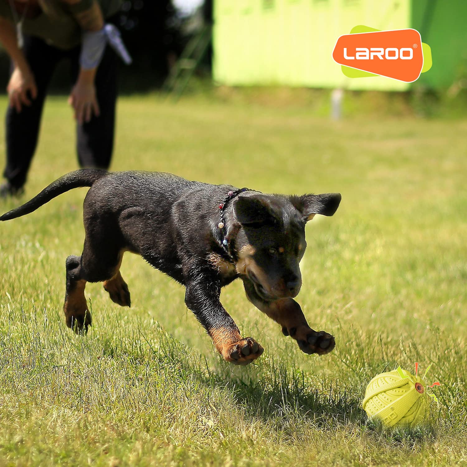 Juguete Interactivo para Perros LaRoo Chirriante Resistente