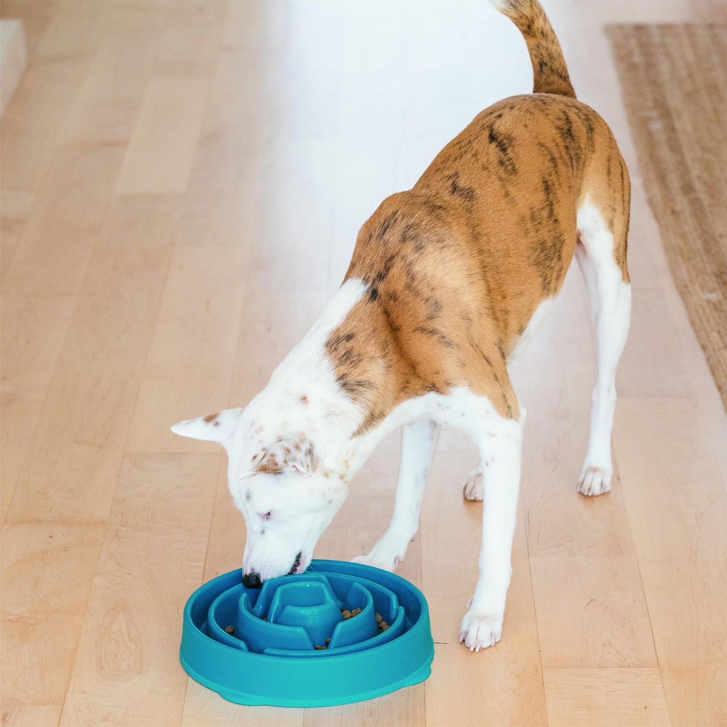 Cuenco para Perros Outward Hound Azul Grande Interactivo Slow Feeder