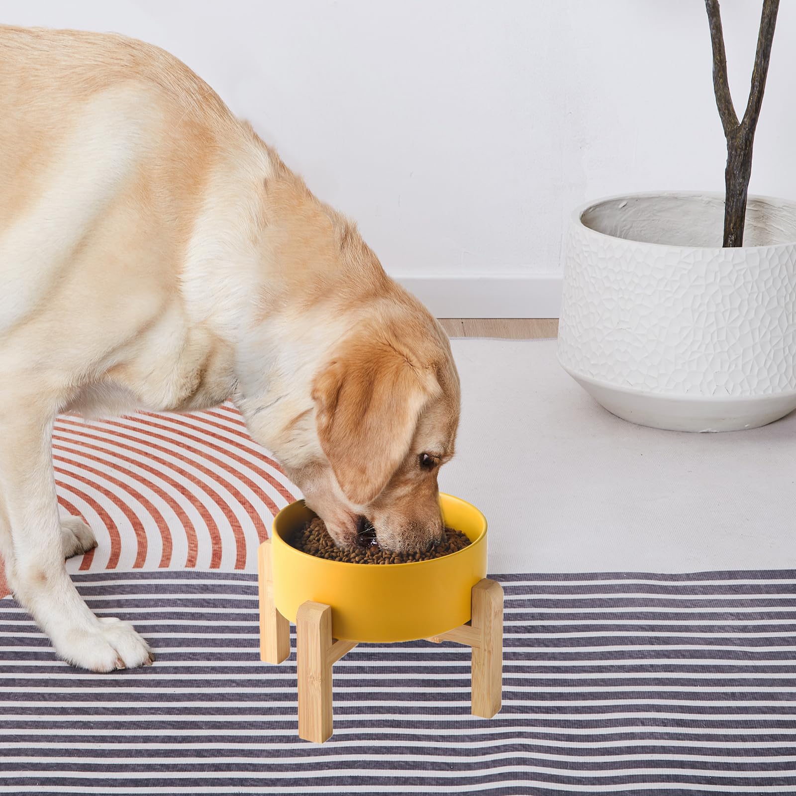 Comedero Elevado Welloyed Cerámica Bambú para Perros Pequeños y Medianos