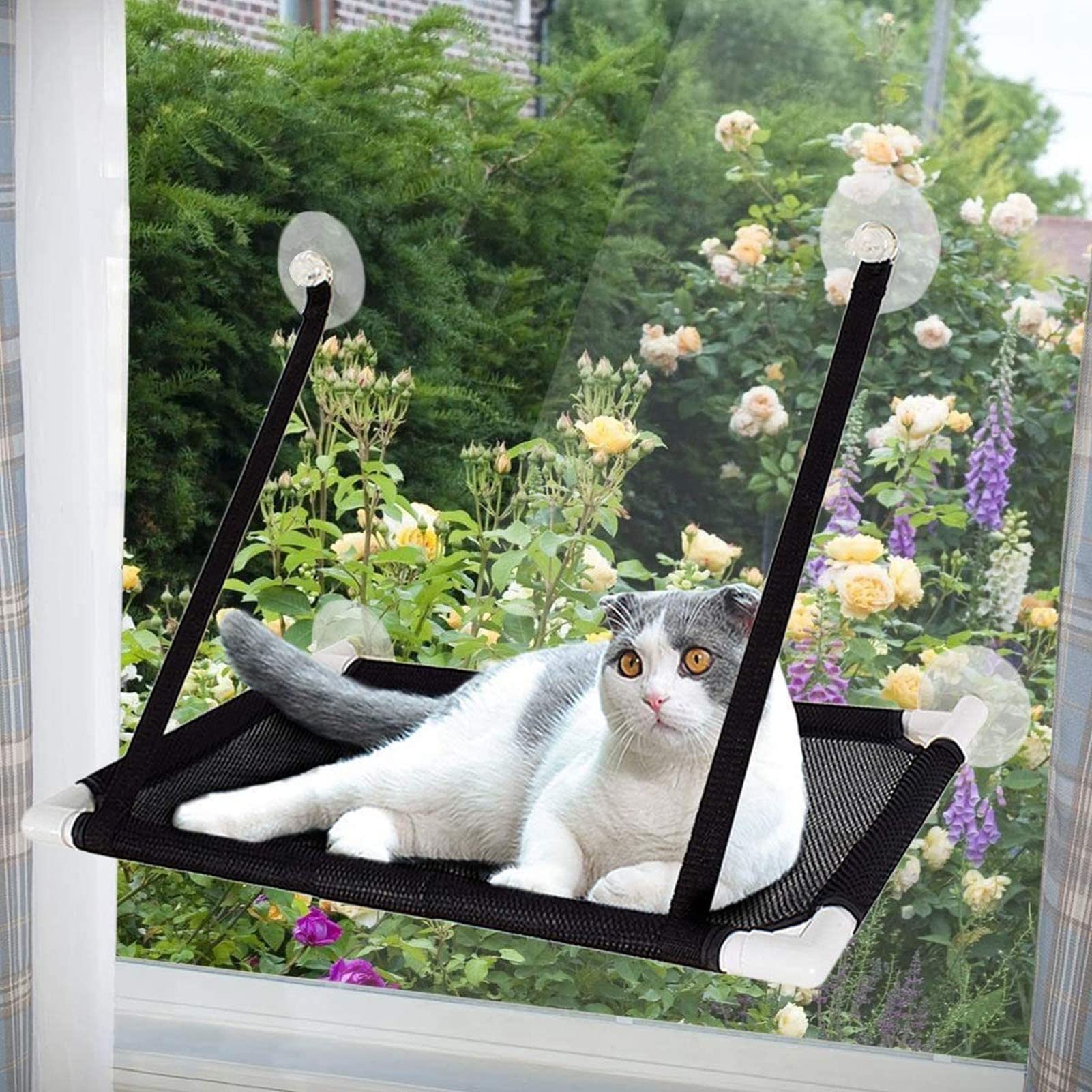 TYTOGE - Ventosas de repuesto para cama de gato, ventosa para ventana de gato, hamaca