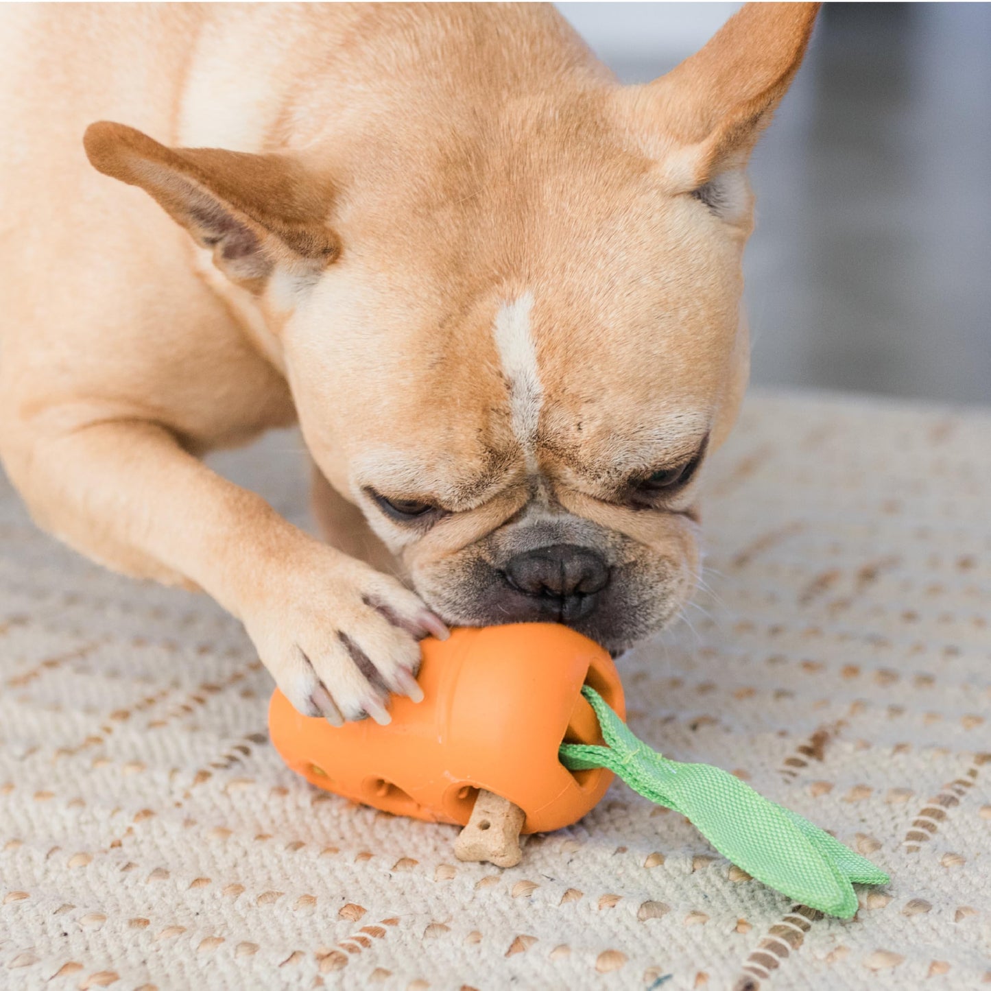 Juguete Interactivo Petstages Zanahoria para Perros