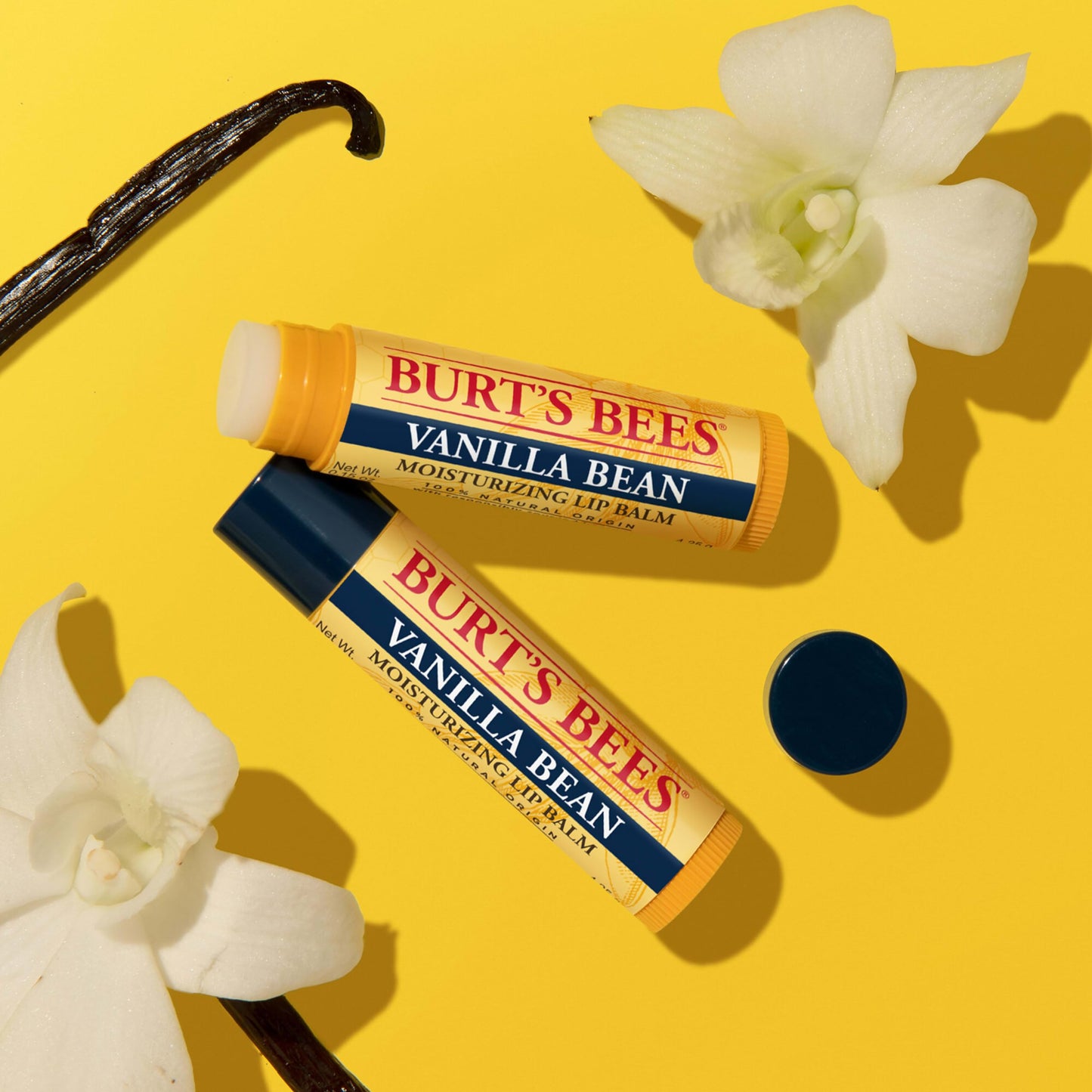 Burt’s Bees Lip Balm, Vanilla Bean Tube, 0.15 Ounce