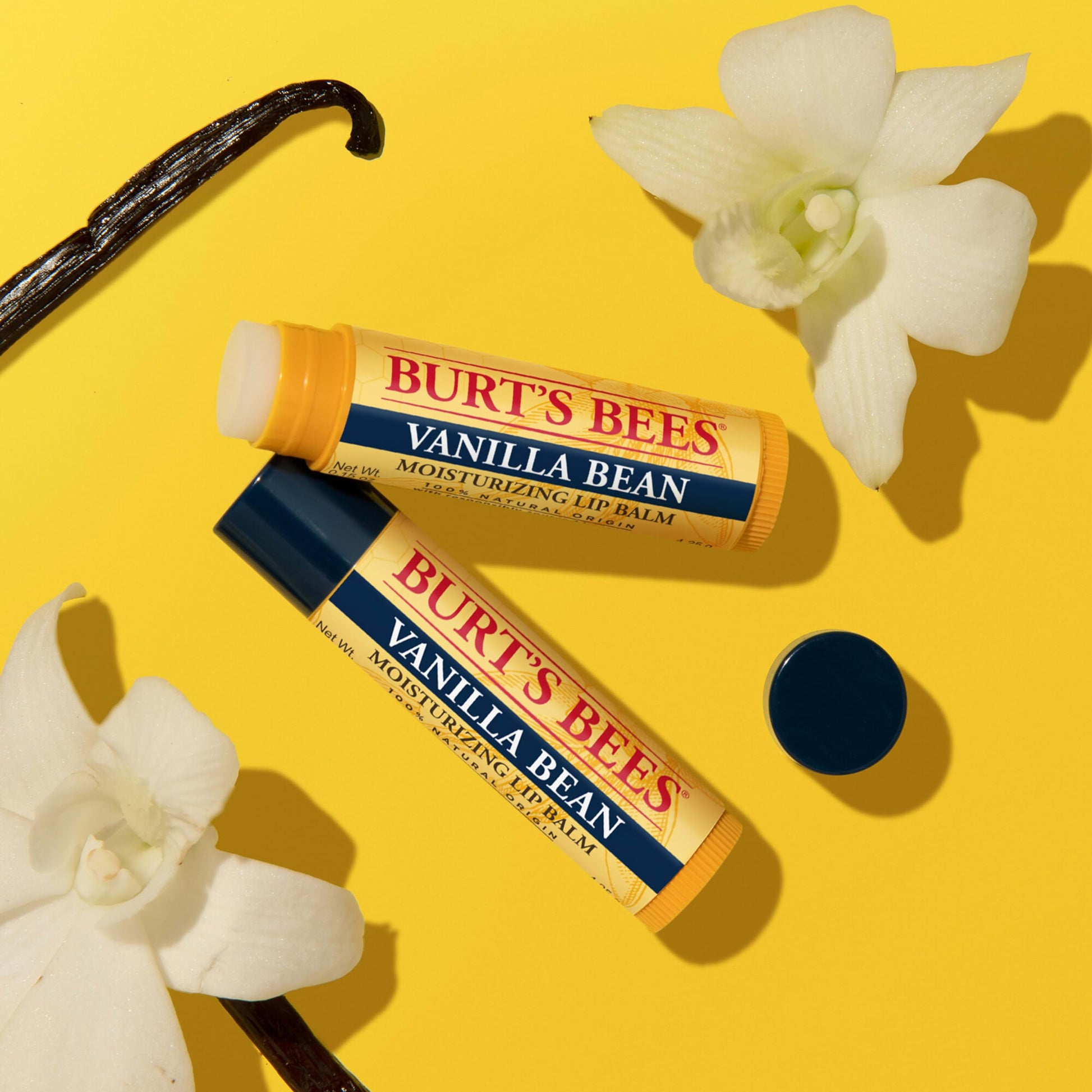 Burt’s Bees Lip Balm, Vanilla Bean Tube, 0.15 Ounce
