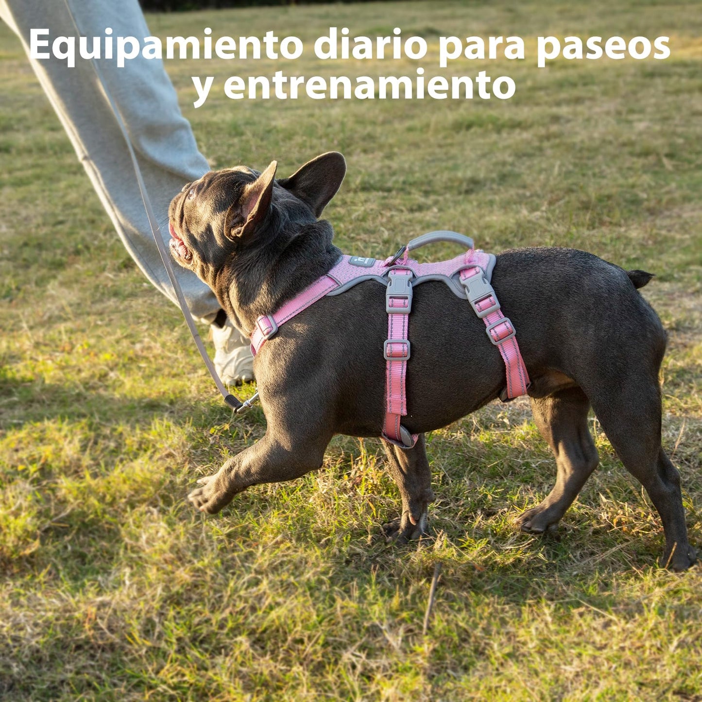 Huntboo Arnés antiescape Perros, arnés para escapistas, Totalmente Reflectante con asa Acolchada, Transpirable, Duradero, Ajustable,Ideal para Caminar, Entrenar y Correr (Rosa, XS)