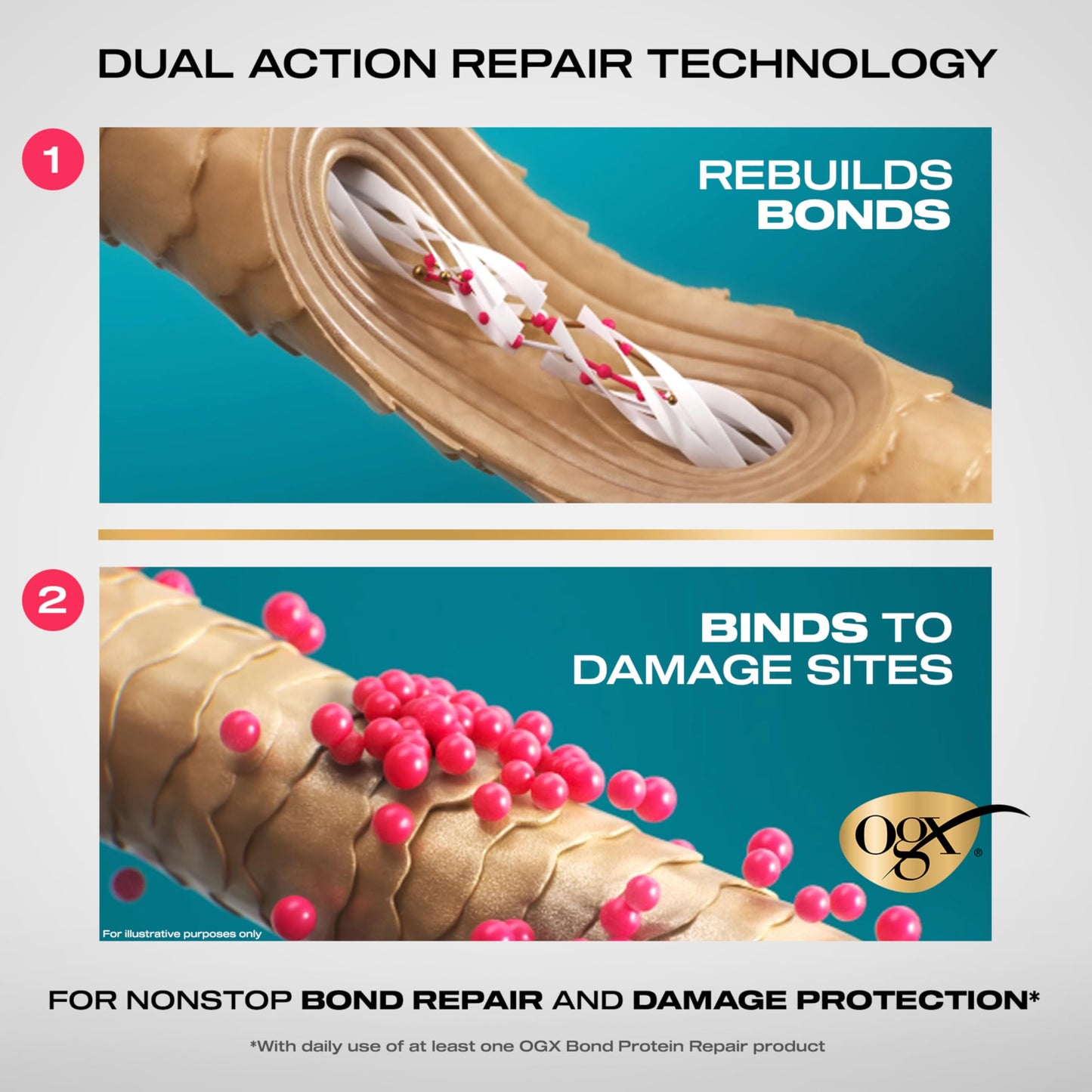 OGX, Acondicionador BOND REPAIR, Reparador de Proteínas, Actúa en Áreas Dañadas, Tecnología LipiPro Shield