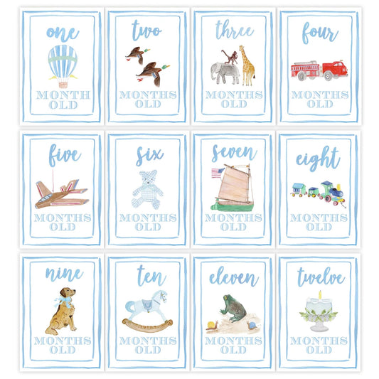CIEQR - Juego de tarjetas de hito mensuales de acuarela, marcadores mensuales para recién nacidos hasta 12 meses, accesorio para fotos, baby shower (azul)