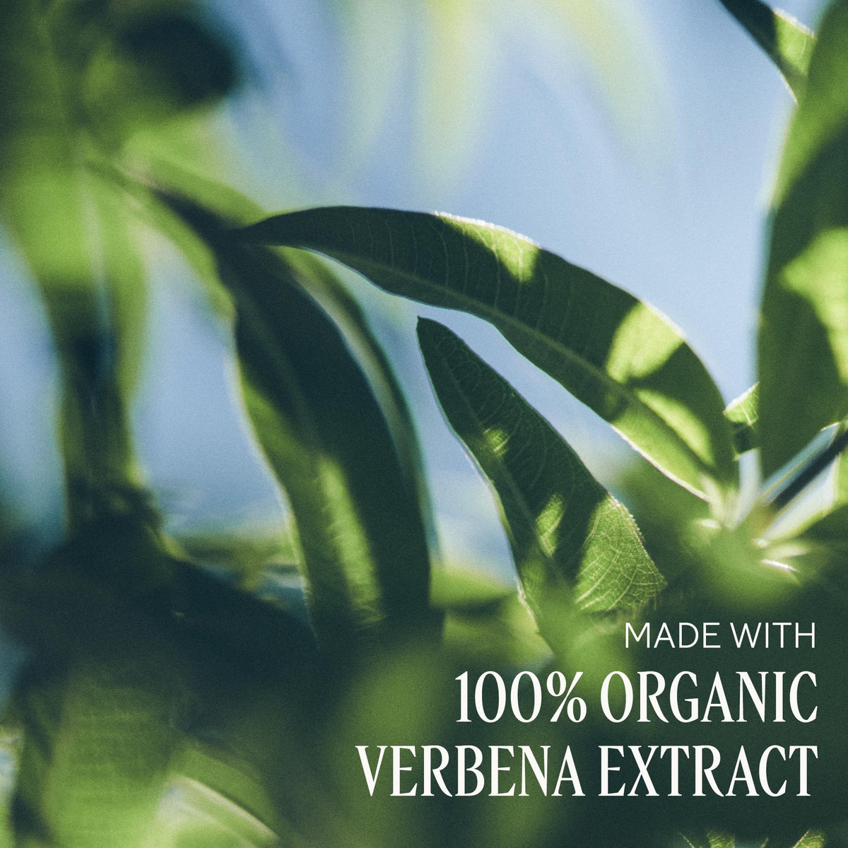 L'Occitane Gel limpiador para manos Verbena Karité 500ml