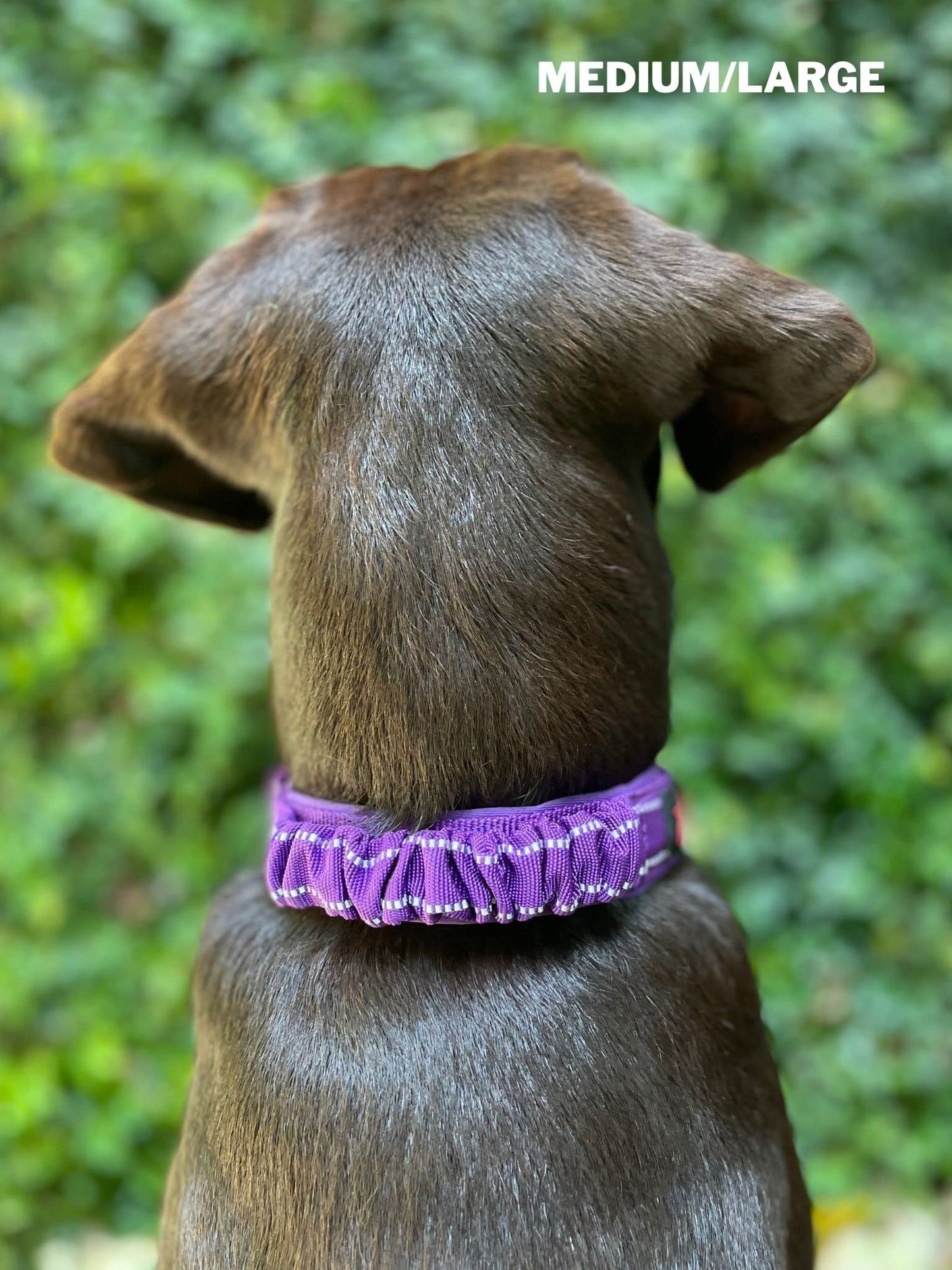 Tuff Pupper Collar de perro resistente con asa | Collar de nailon balístico resistente | Collar reflectante acolchado con herrajes de acero inoxidable ajustables | Tamaño conveniente para todas las razas