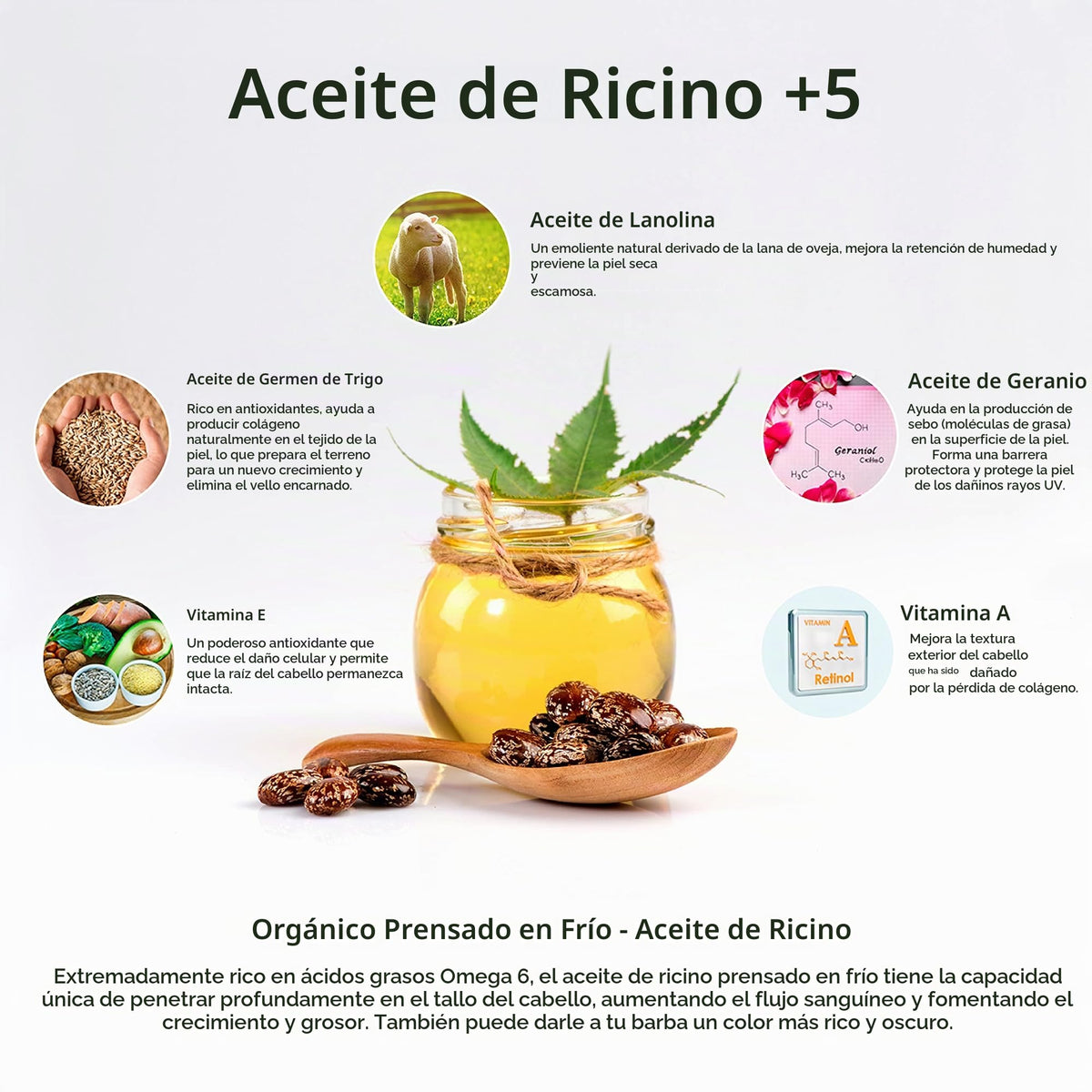Suero para Crecimiento de Barba y Bigote Godefroy 15 ml para Tipos de Cabello Étnico