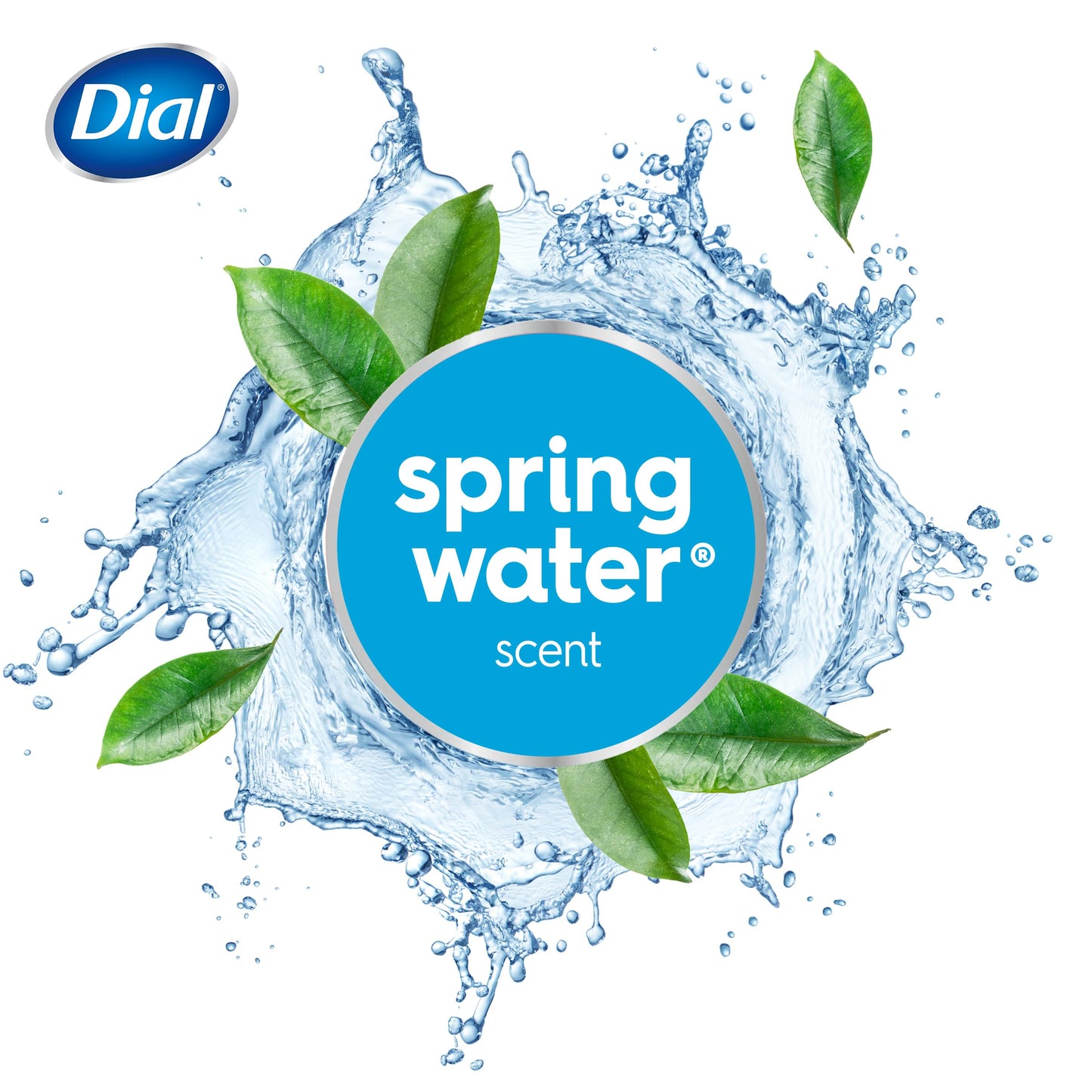 Dial Springwater Body Wash, 16 oz