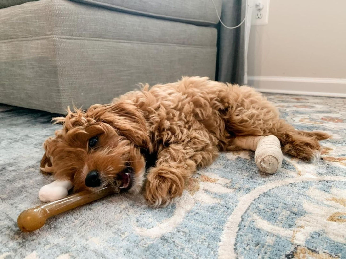 Juguete Masticable de Hueso Sabor Pollo Nylabone Dura Chew Gigante para Perro