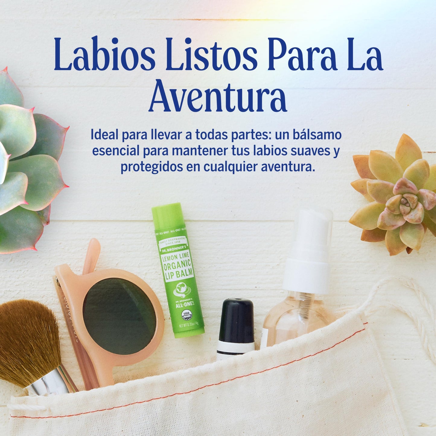 Dr. Bronner's | Bálsamo labial orgánico hidratante y reparador, con aceites esenciales - Lima Limón, 4 g (6 Pack)