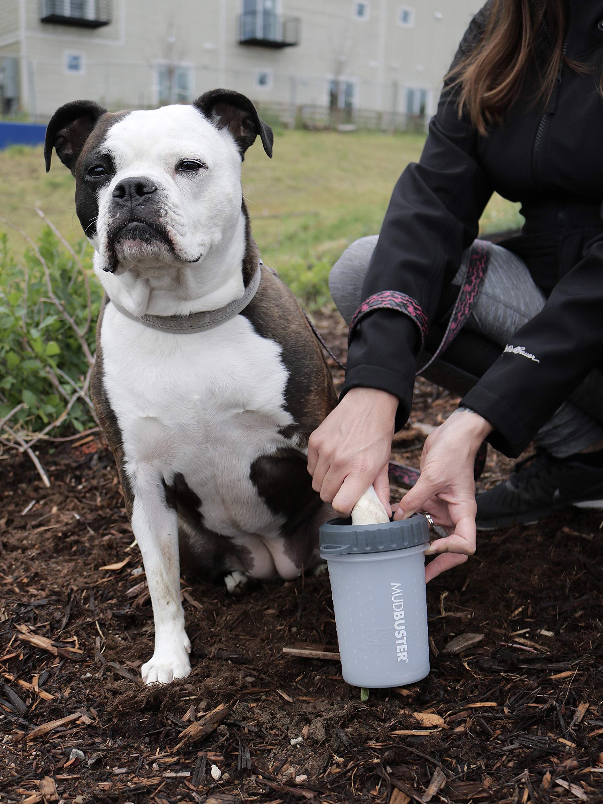 Dexas Lidded MudBuster Limpiador portátil para patas de perro, gris claro, mediano con tapa