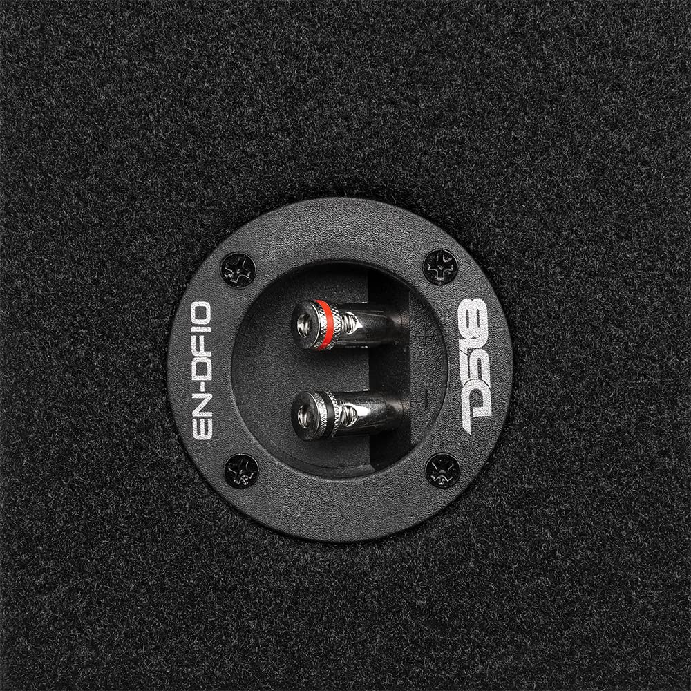 DS18 EN-DF10 - Carcasa de subwoofer de 10 Pulgadas, diseño Compacto y Sellado para Coche, Camiones, 600 W, Color Negro