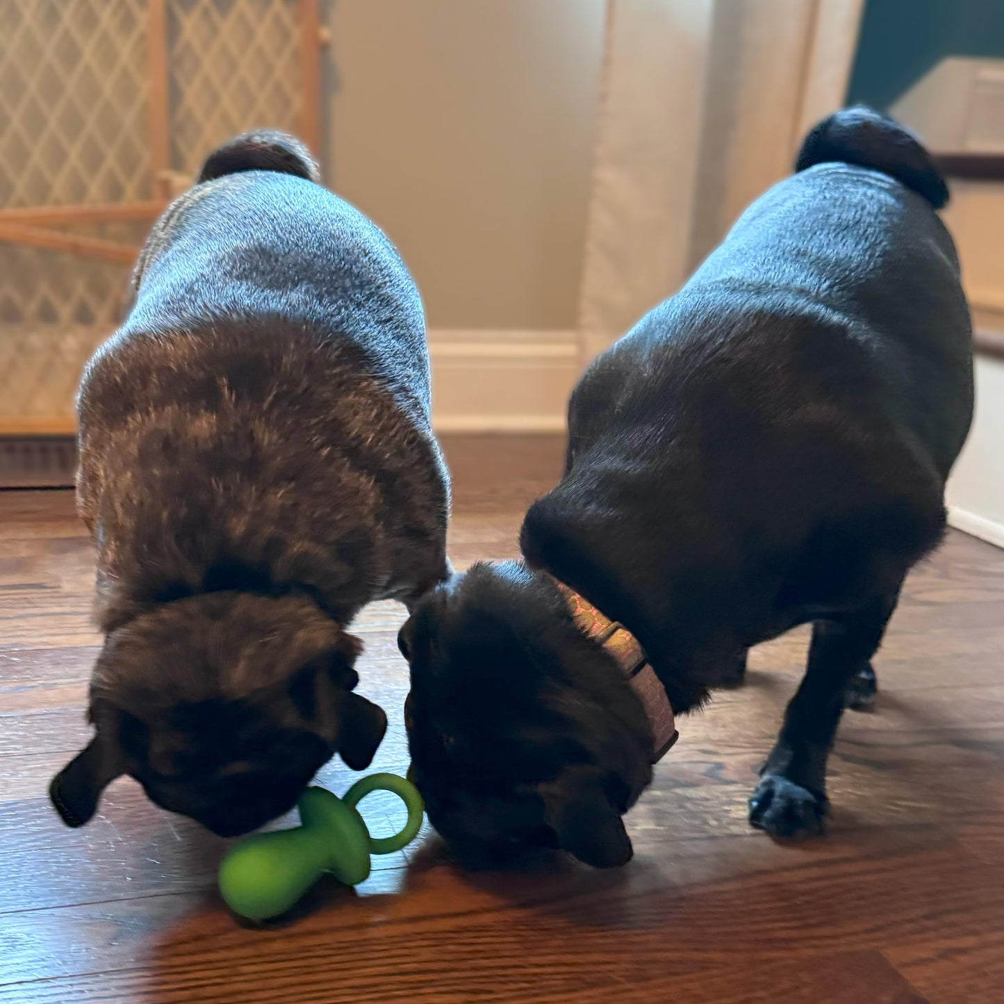 Chupete para perro de látex de 10 cm, los colores pueden variar