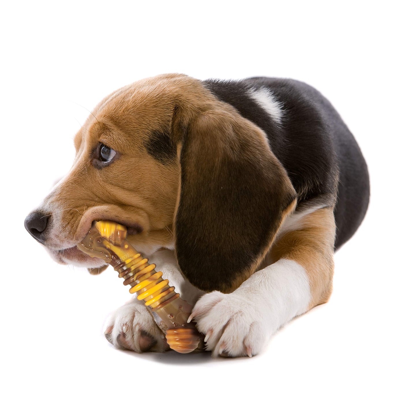 Juguete de Perro Nylabone Philly Cheesesteak Medium